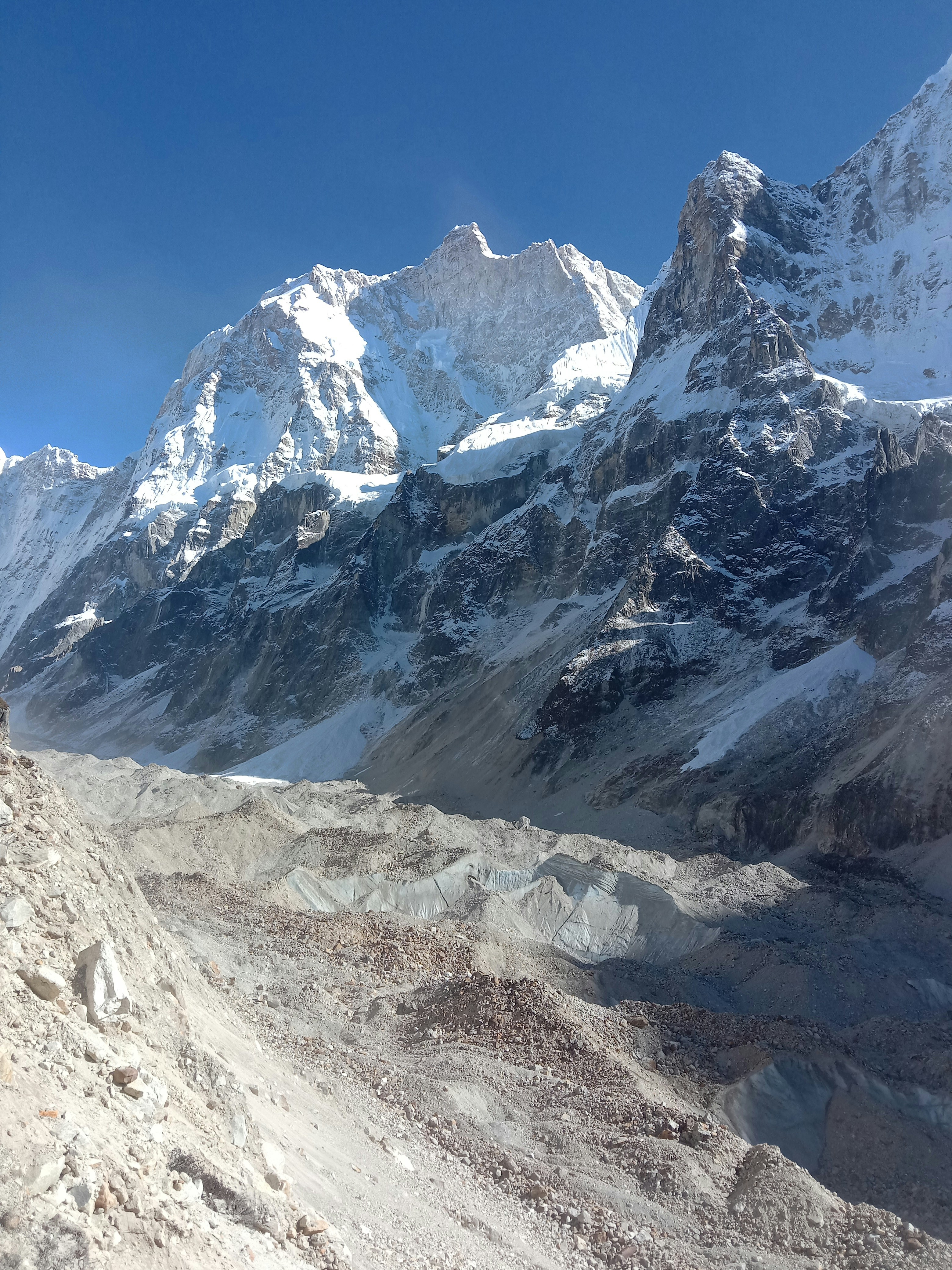 Photo by himalayanecological