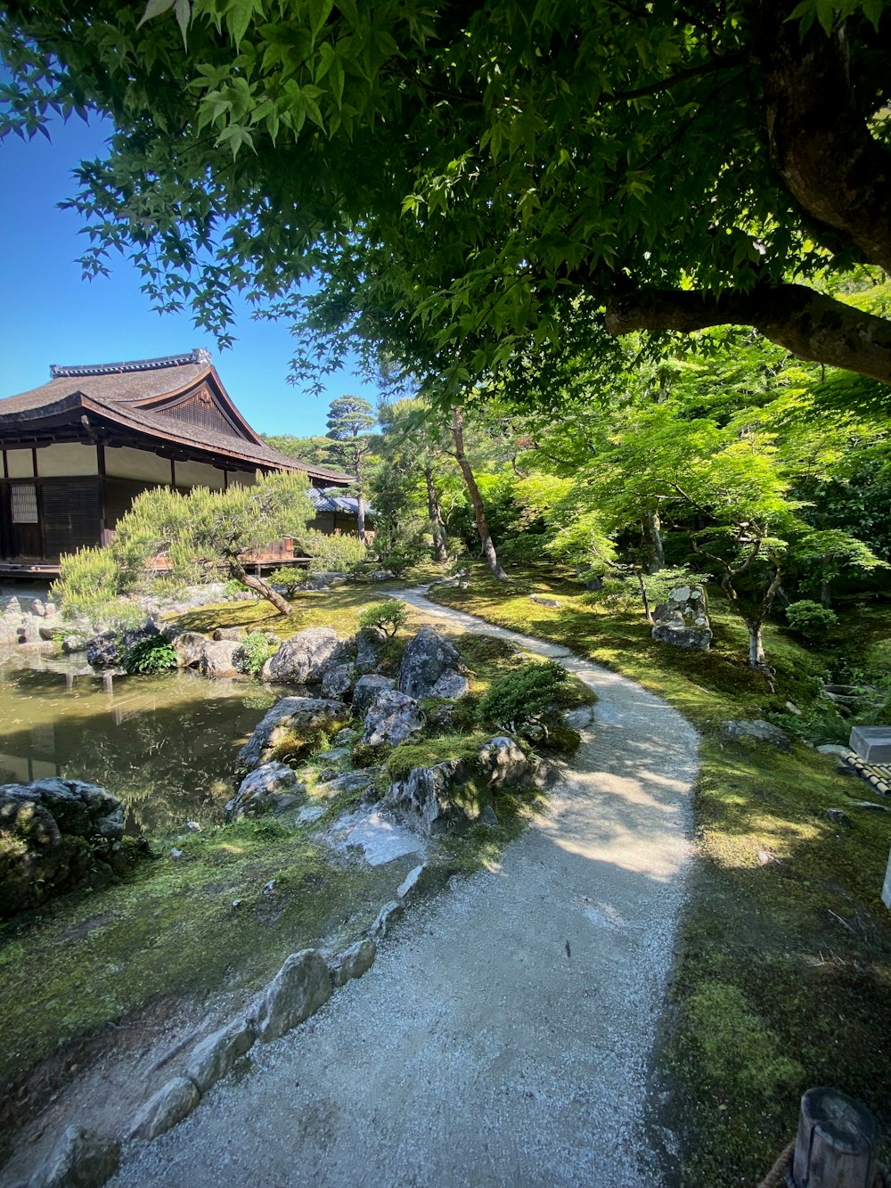 a path through a lush green forest next to a building