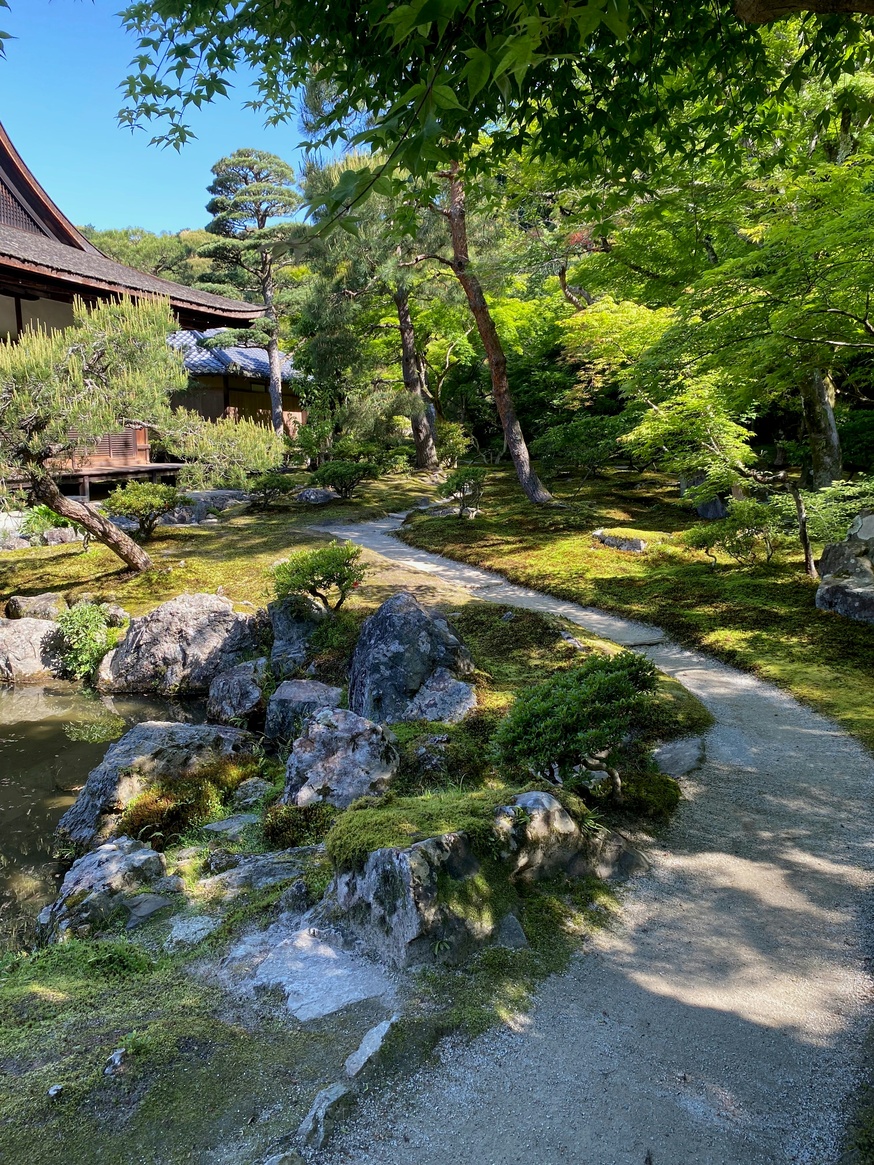 a path through a lush green forest next to a building