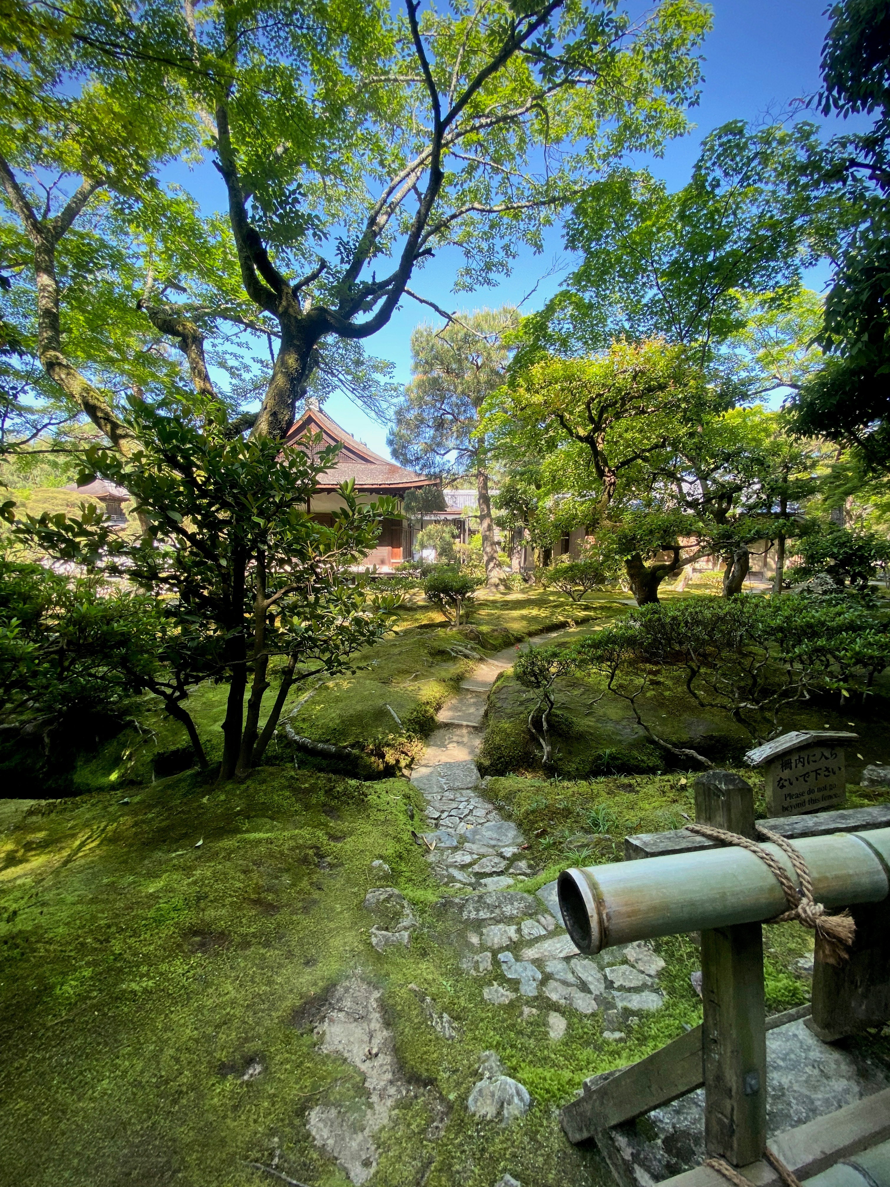 a small stream running through a lush green forest