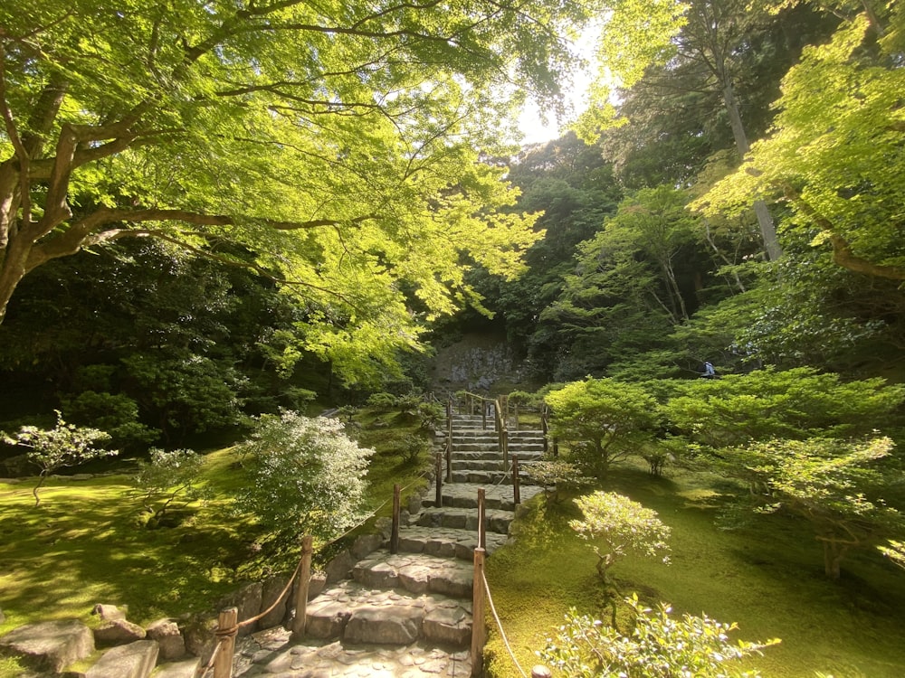 a set of stairs leading up to a lush green forest