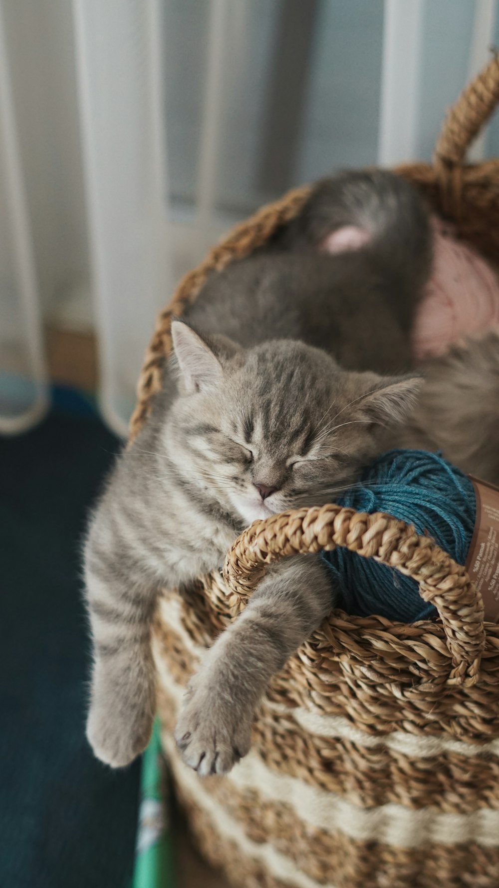 a cat sleeping in a basket with a ball of yarn