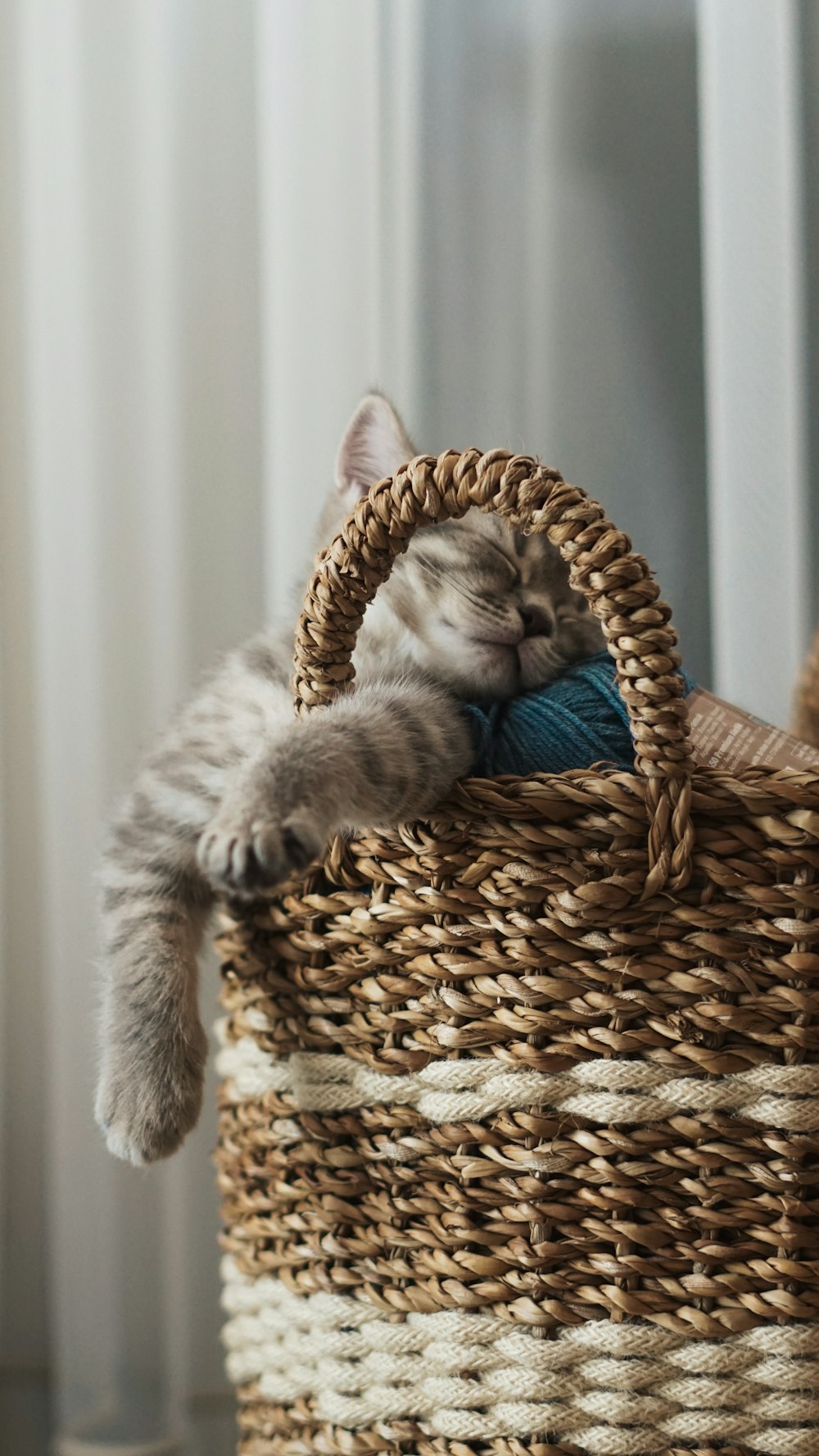 a kitten sleeping in a basket on the floor