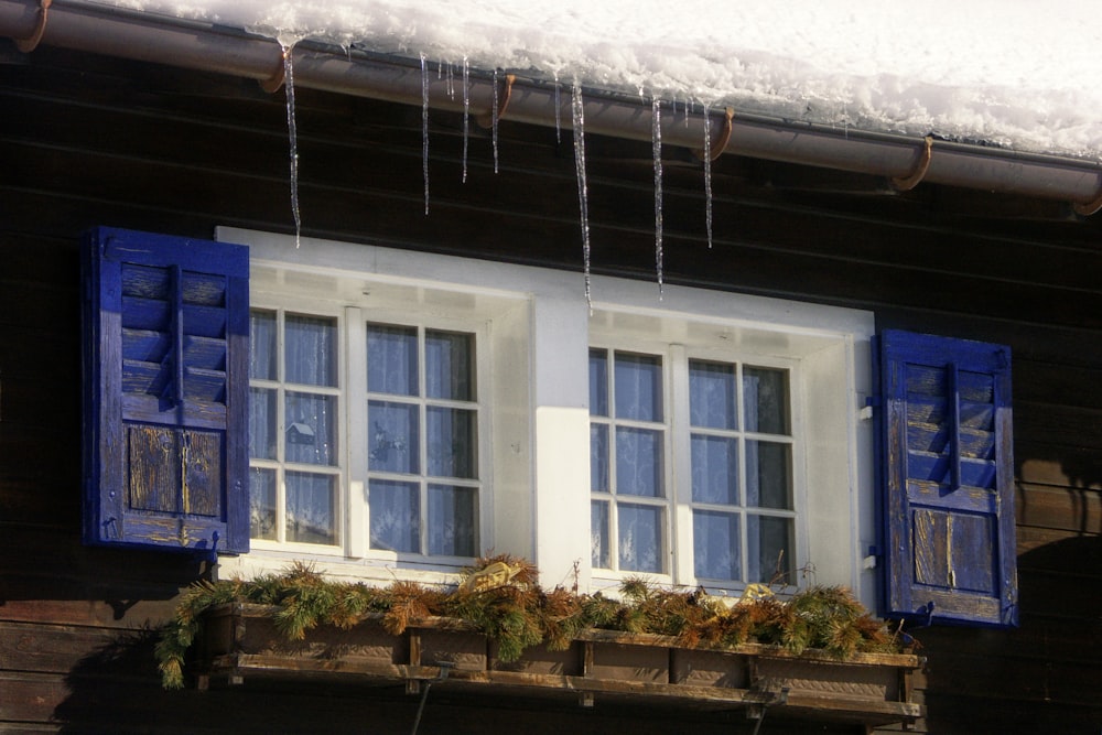 a window with blue shutters and snow hanging from it