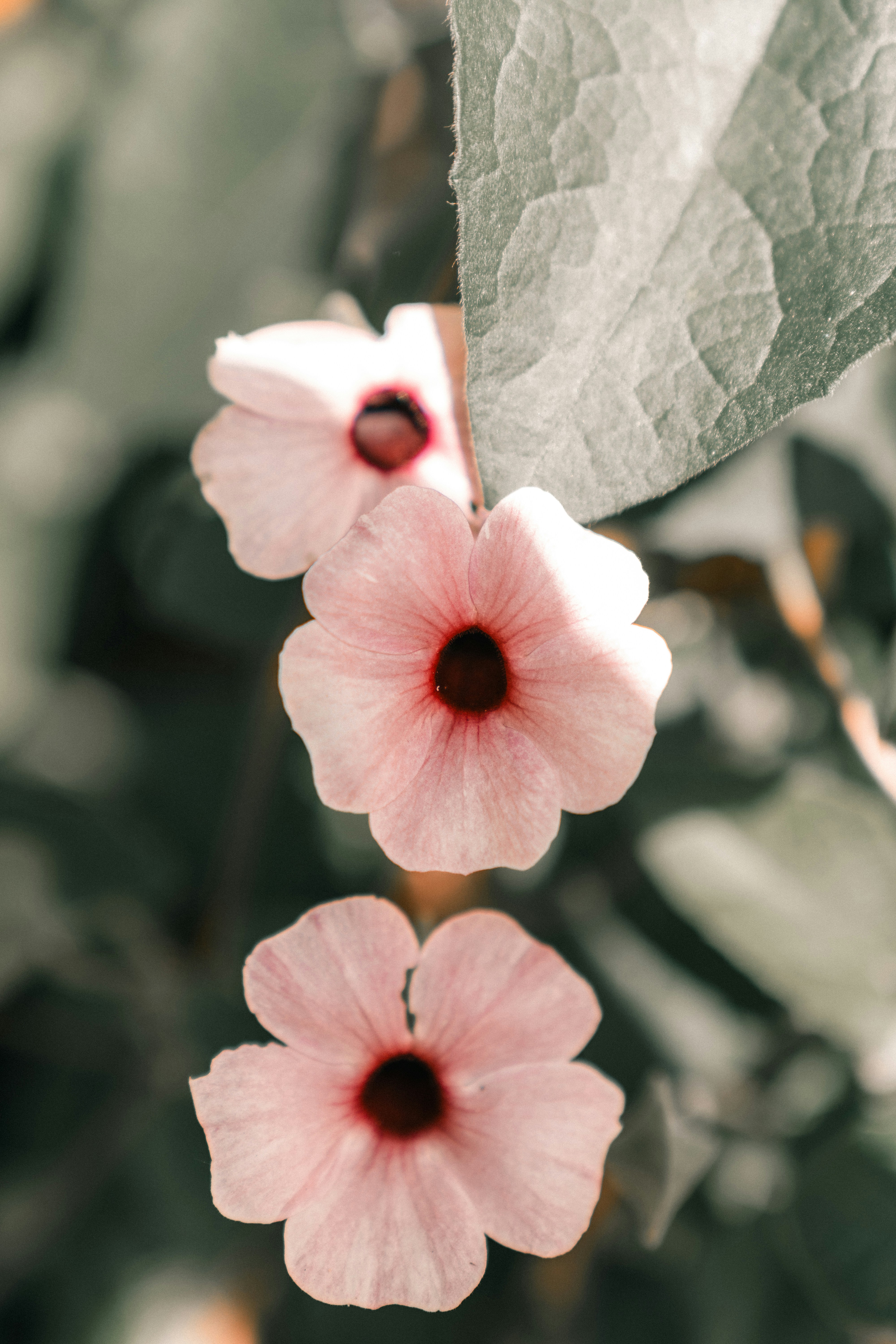 Photo by bangscreative