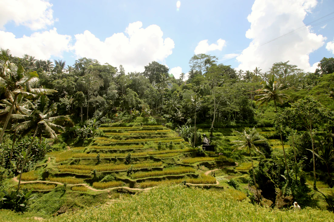 Bali Family Escape — Indonesia