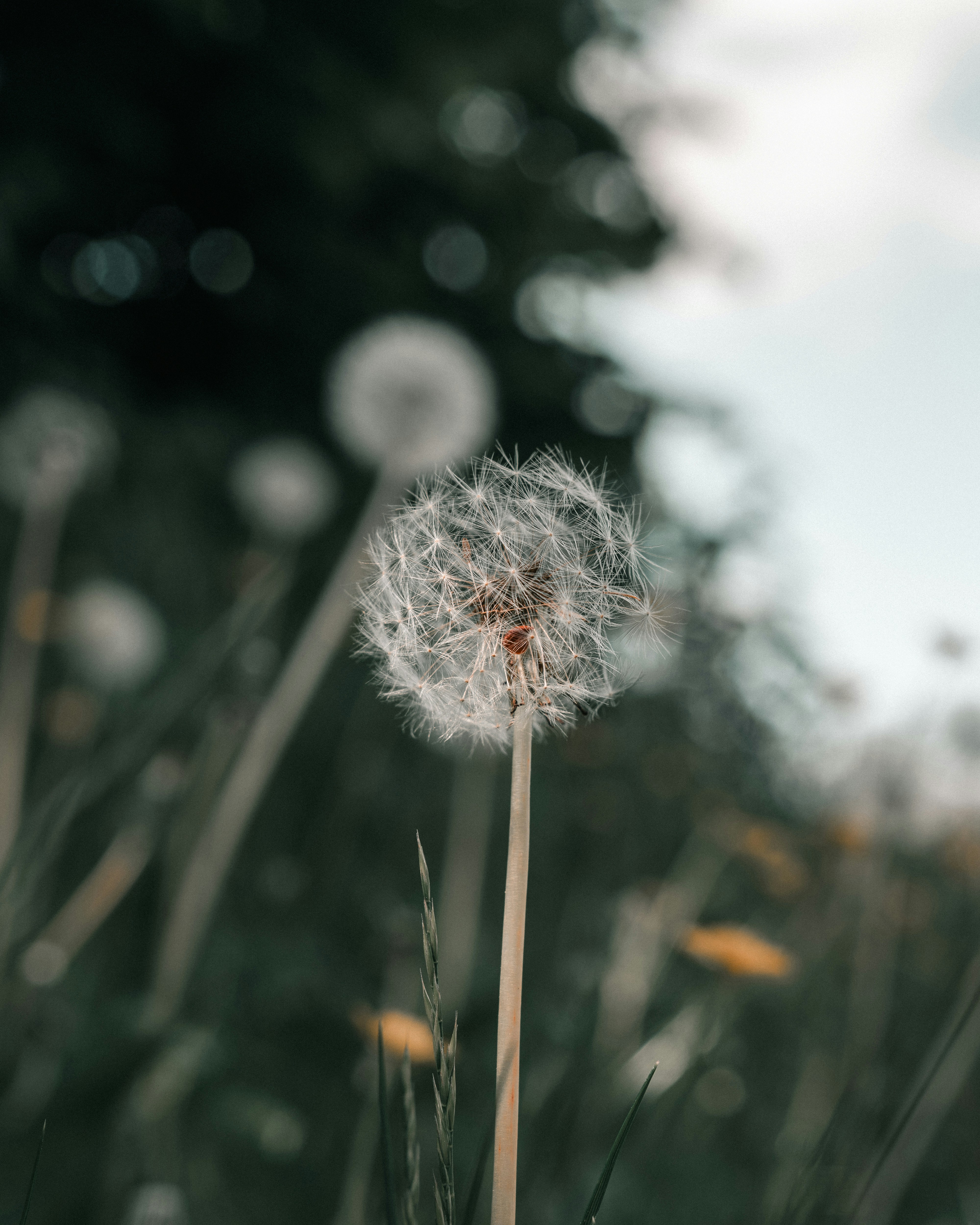 Photo by bangscreative