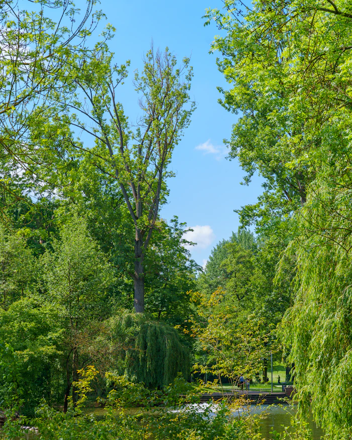 Plan d'eau calme avec reflets — bassin aquatique