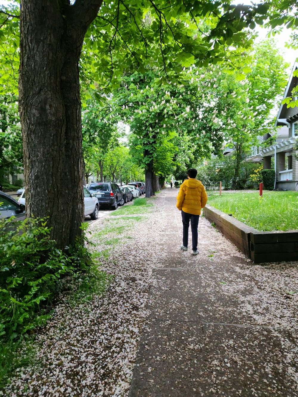 노란 재킷을 입은 사람이 길을 걷고 있다