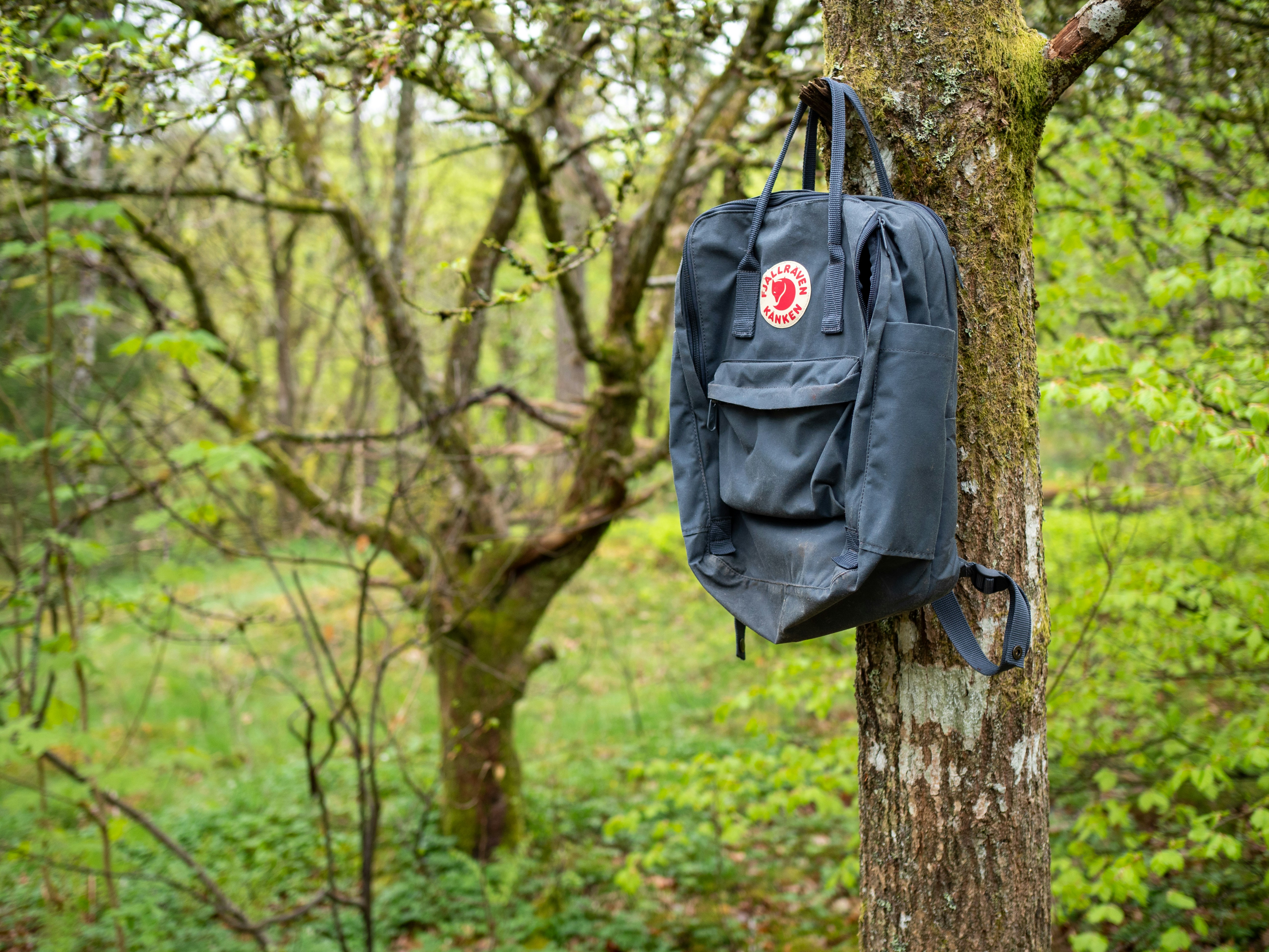 photo 1715756603134 747ab0676d38?crop=entropy&cs=tinysrgb&fit=max&fm=jpg&ixid=M3w1MjQ0NjR8MHwxfHNlYXJjaHwxOHx8U3Vydml2YWwlMjBiYWNrcGFja3xlbnwwfDB8fHwxNzUxNzM4NjQ5fDA&ixlib=rb 4.1