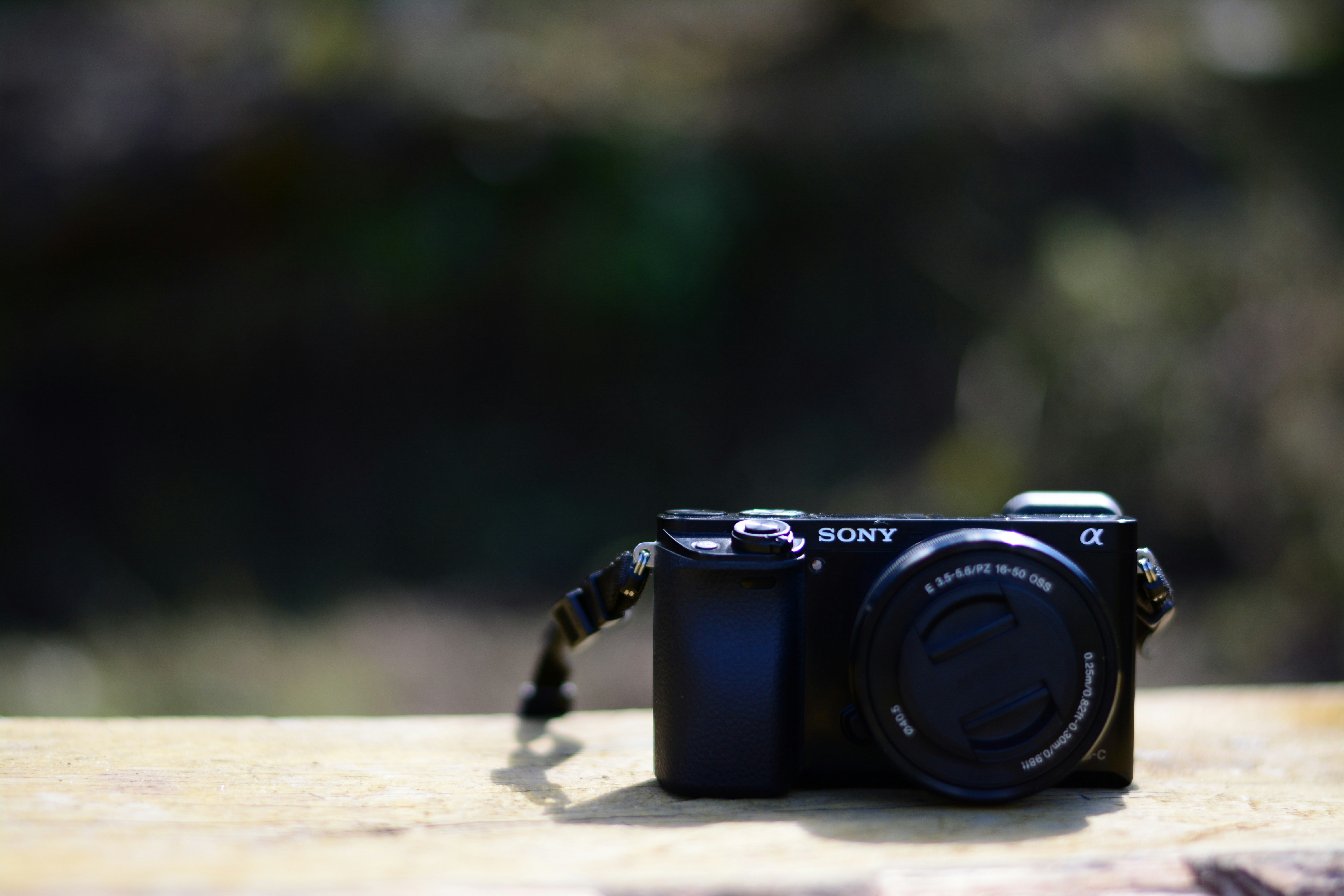 Photo by palak_pitroda