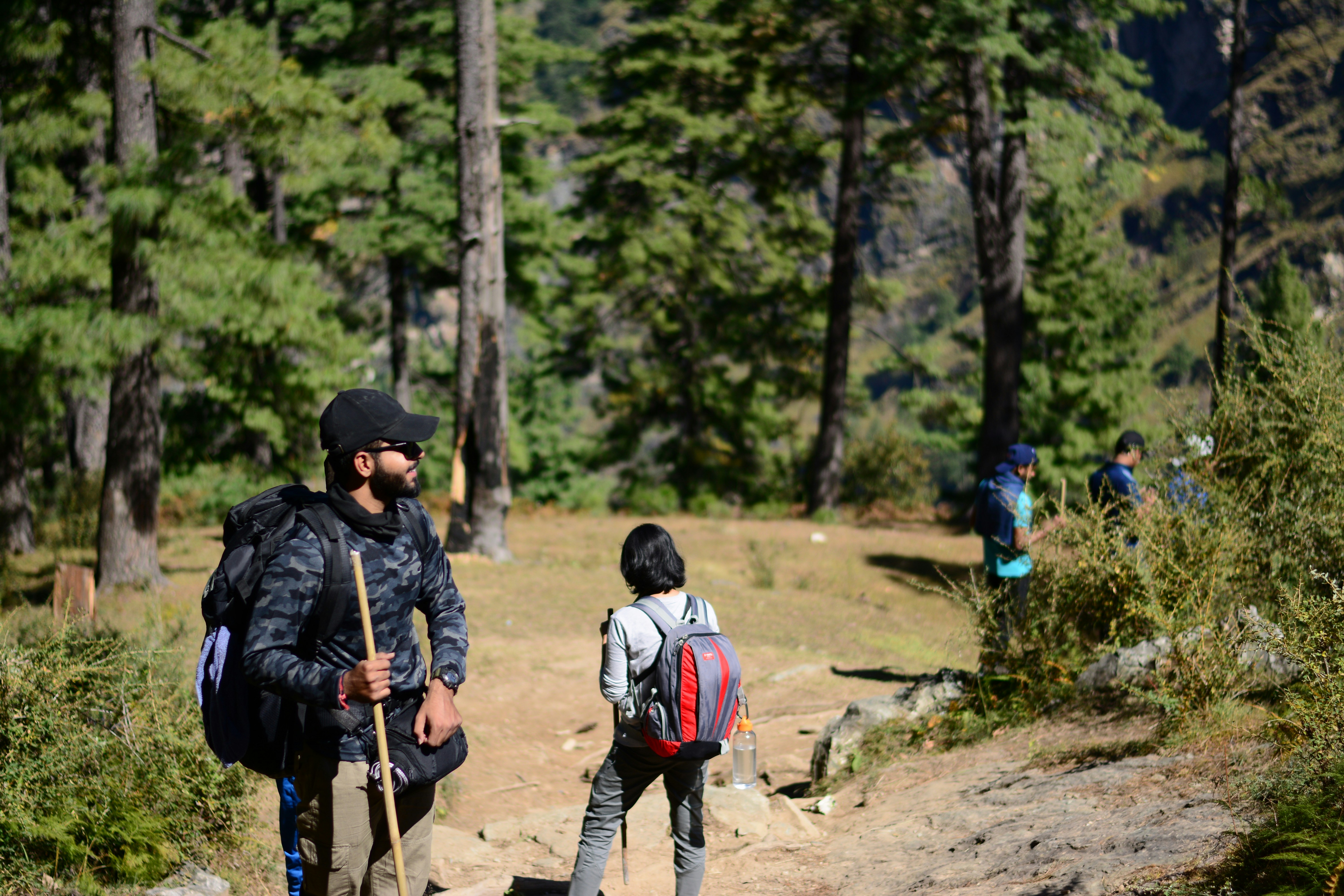 mountain hiking pole, ilustrasi artikel Conquer Mountains with Lightweight Trekking Poles: Your Essential Hiking Gear 3