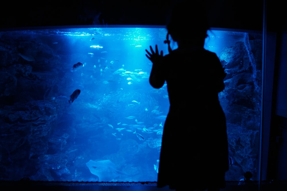 eine Person, die vor einem Aquarium steht