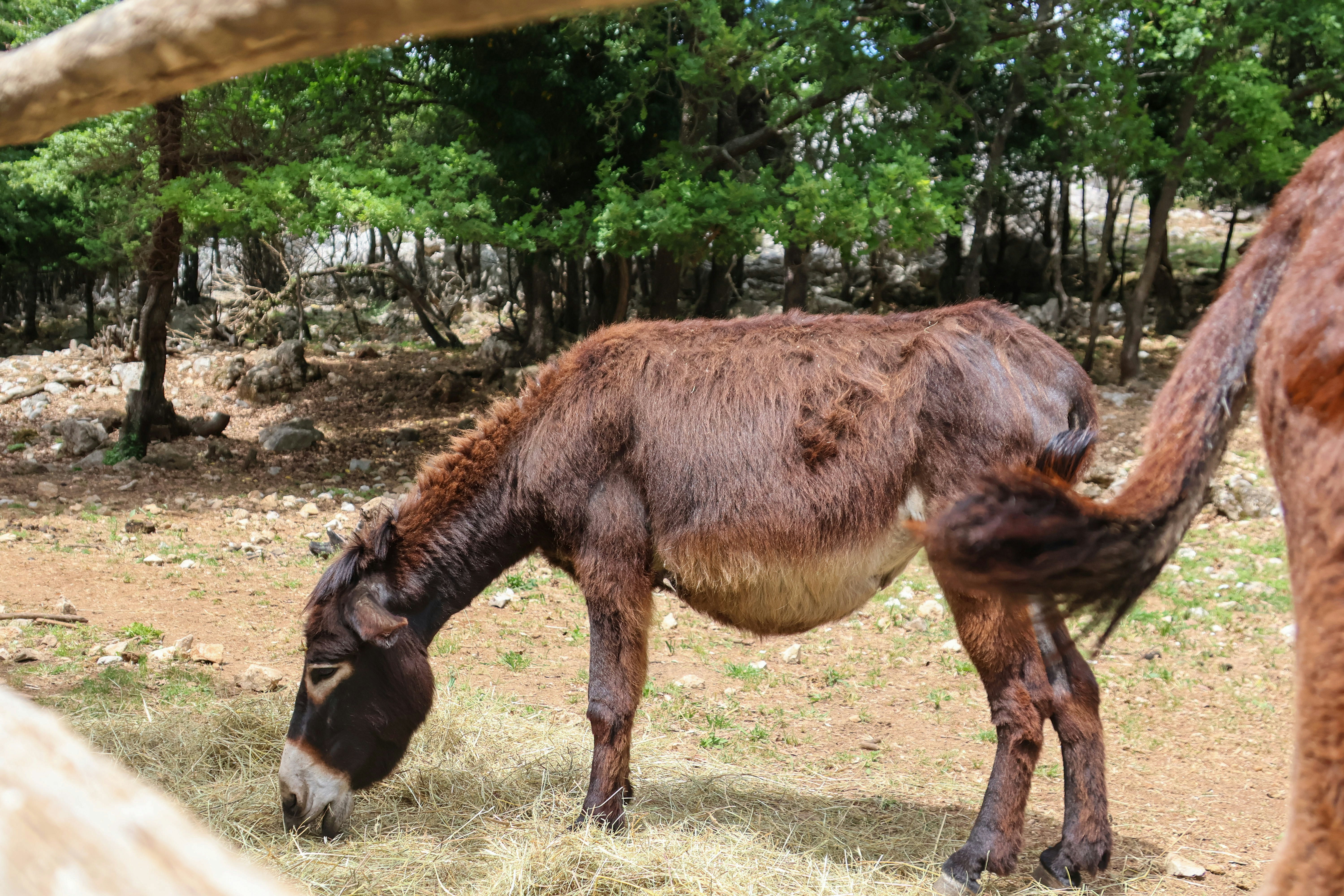 Photo by traveleroohlala