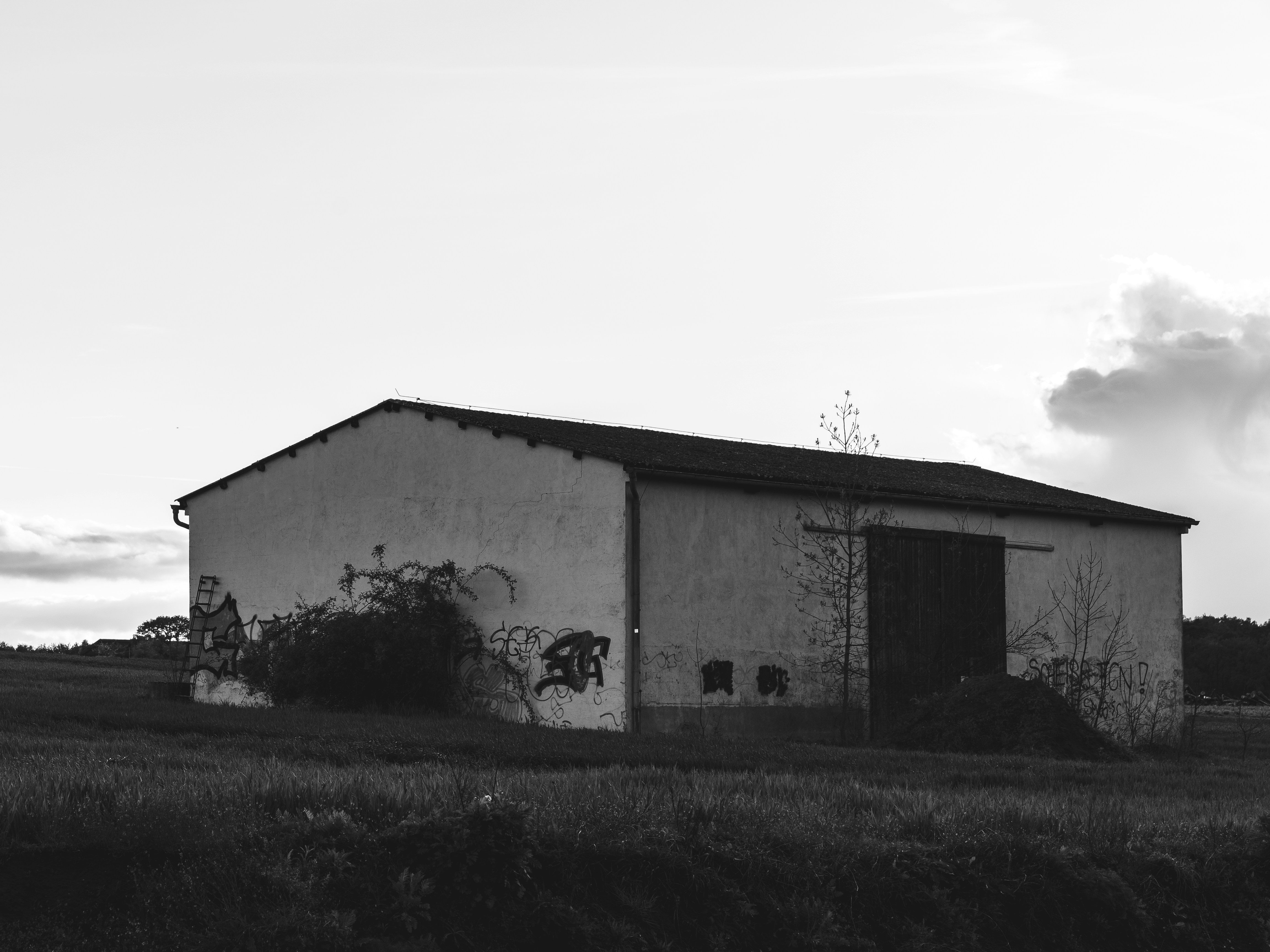 Photo by bangscreative