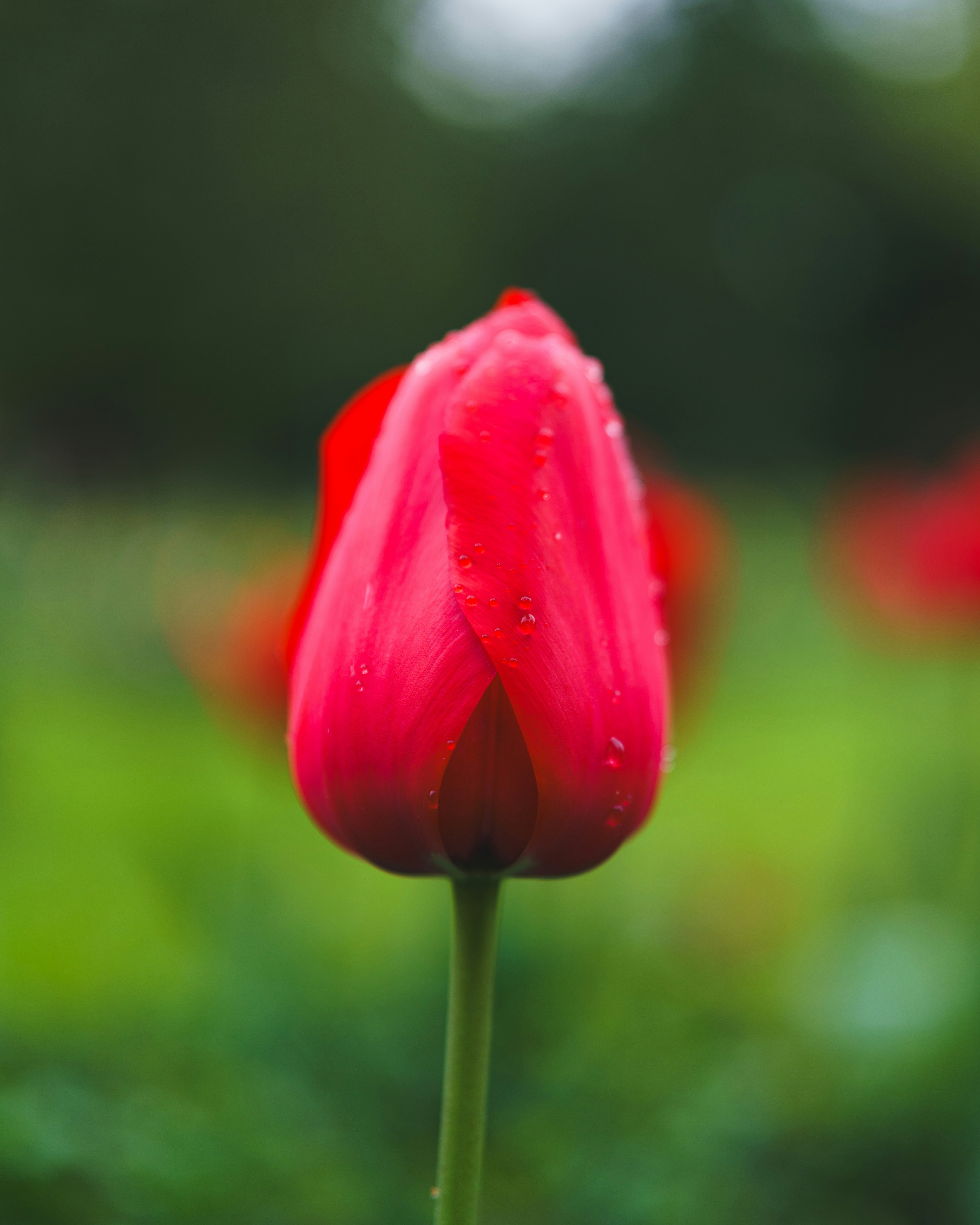 Photo by bangscreative