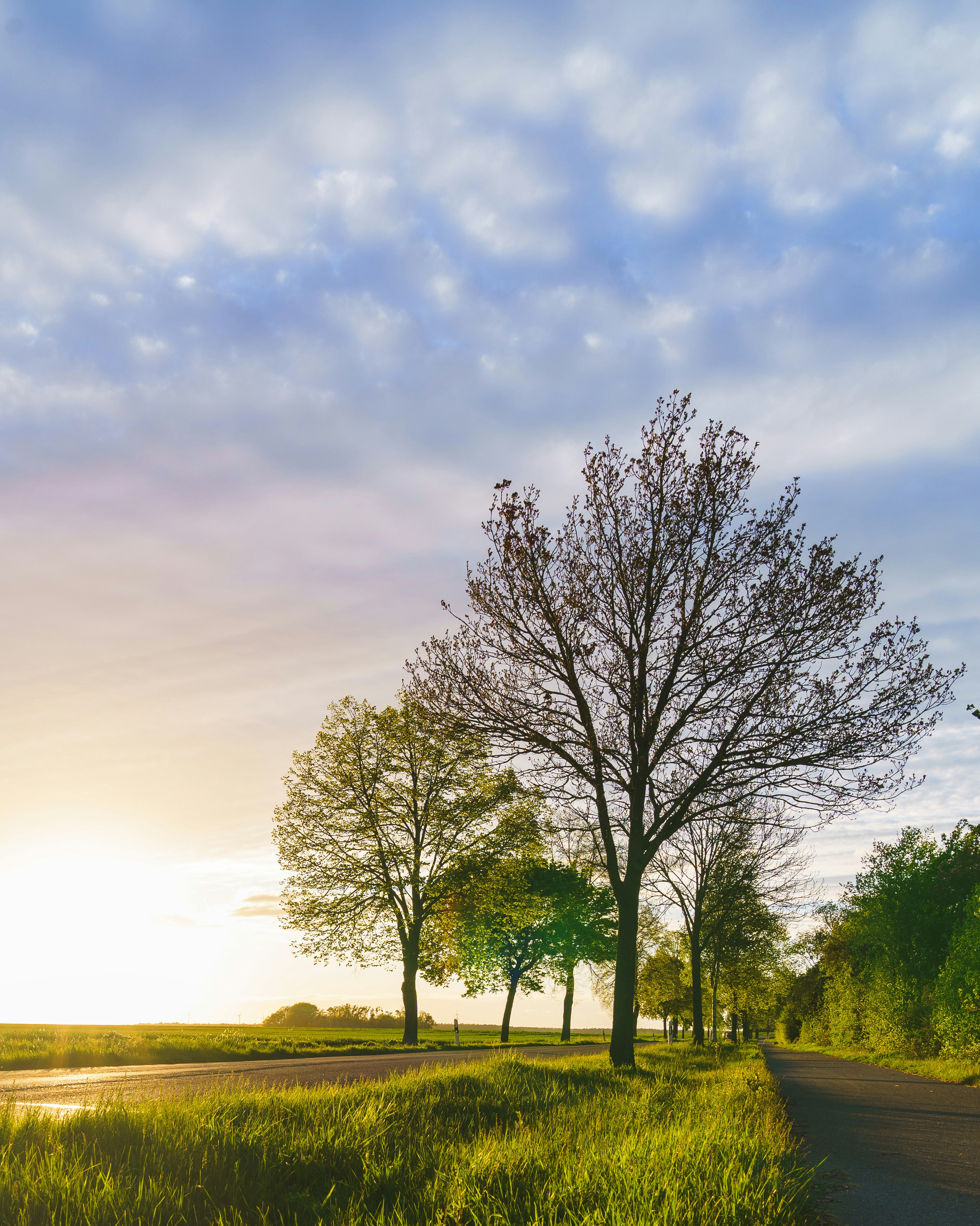 Photo by bangscreative