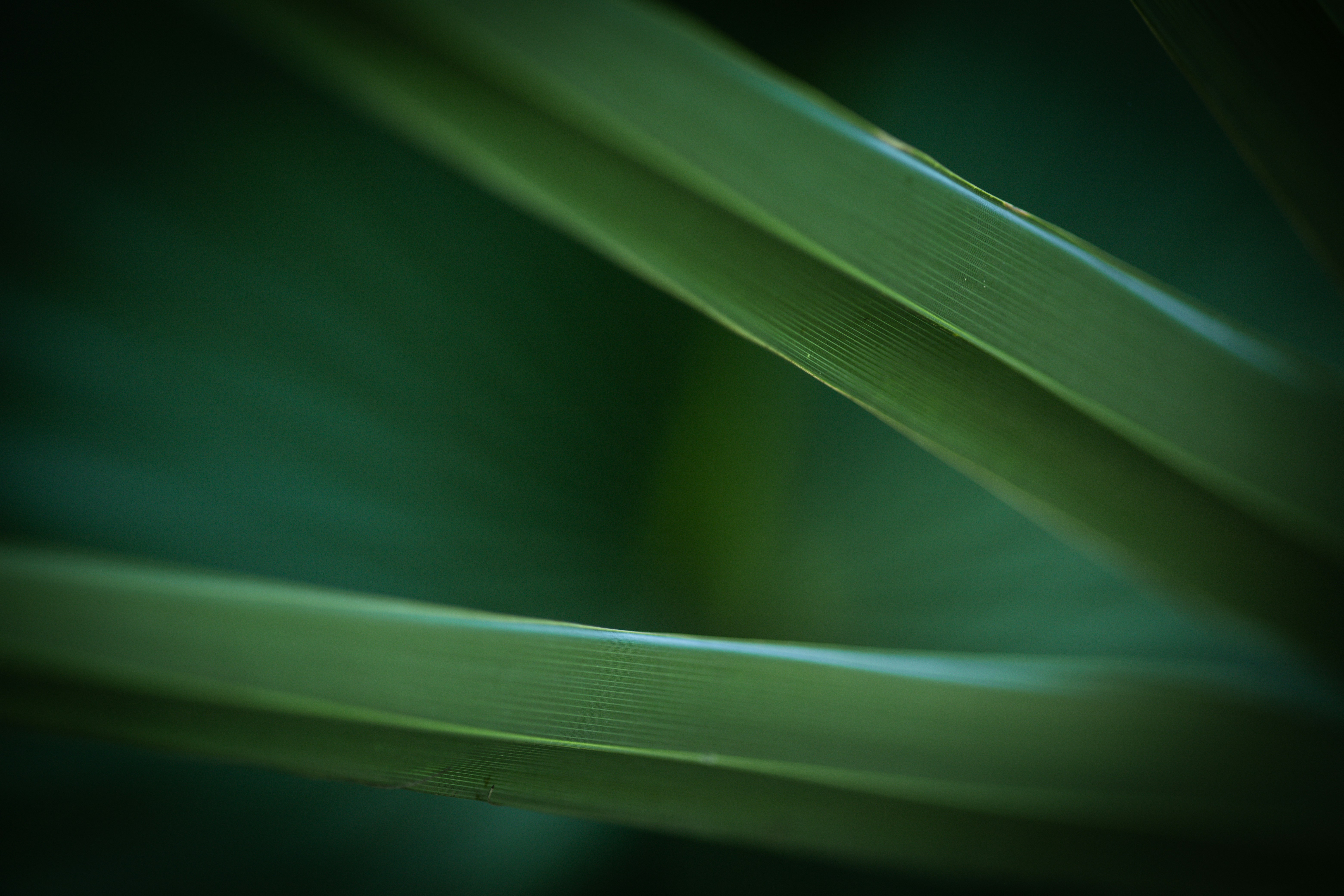 Photo by rrodriguesim