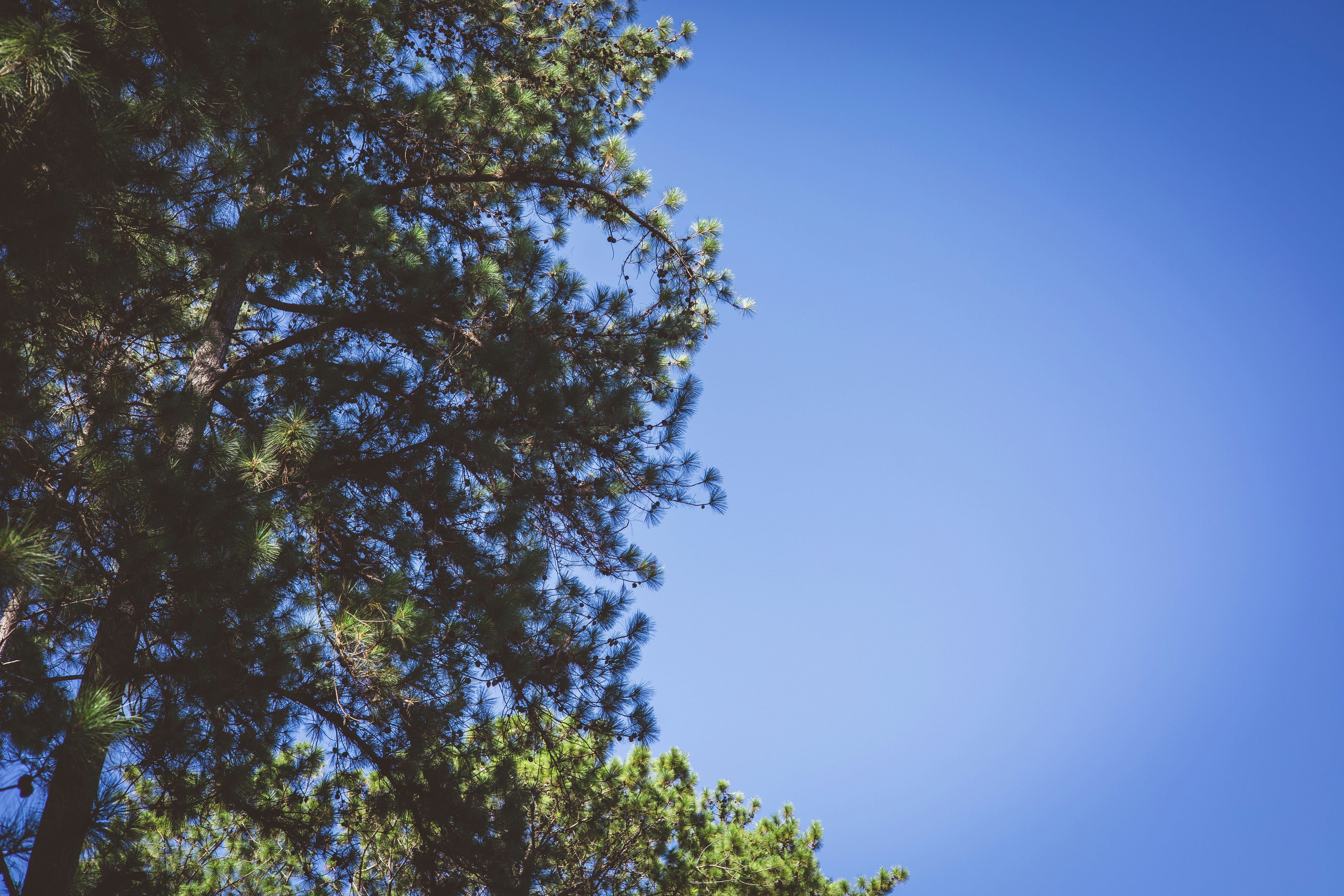 Photo by rrodriguesim