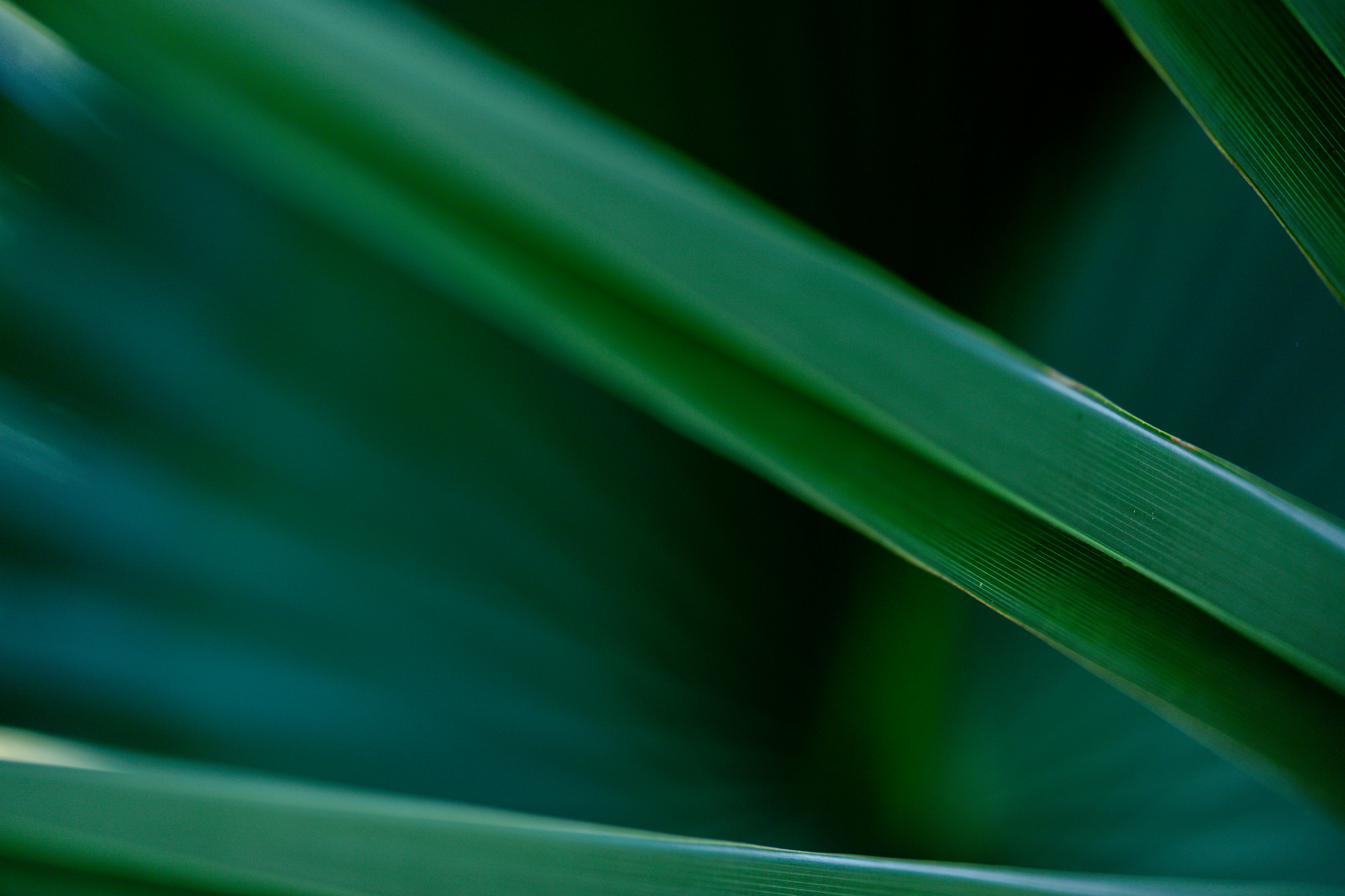 Photo by rrodriguesim