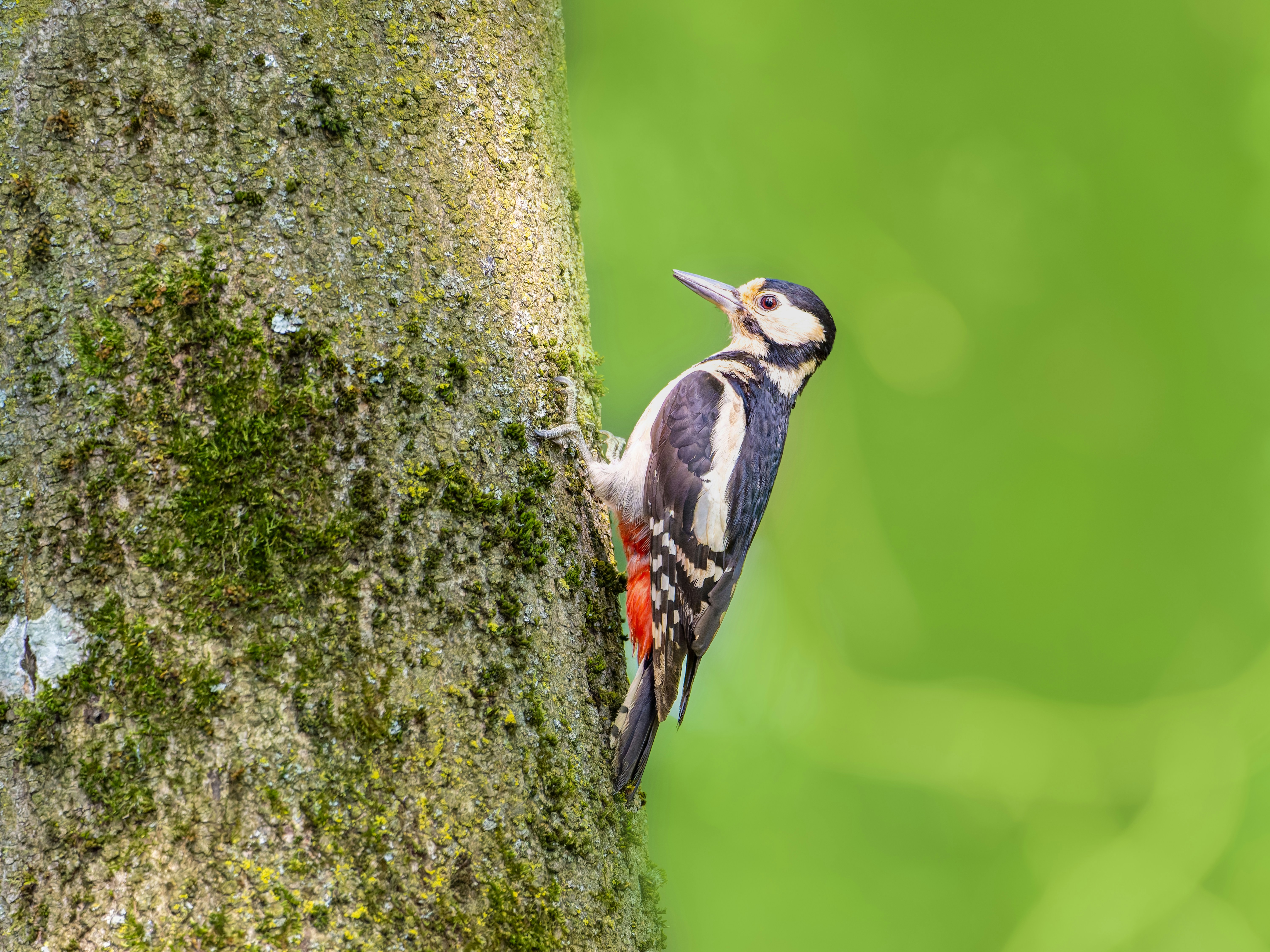 Photo by siegfriedpoepperl