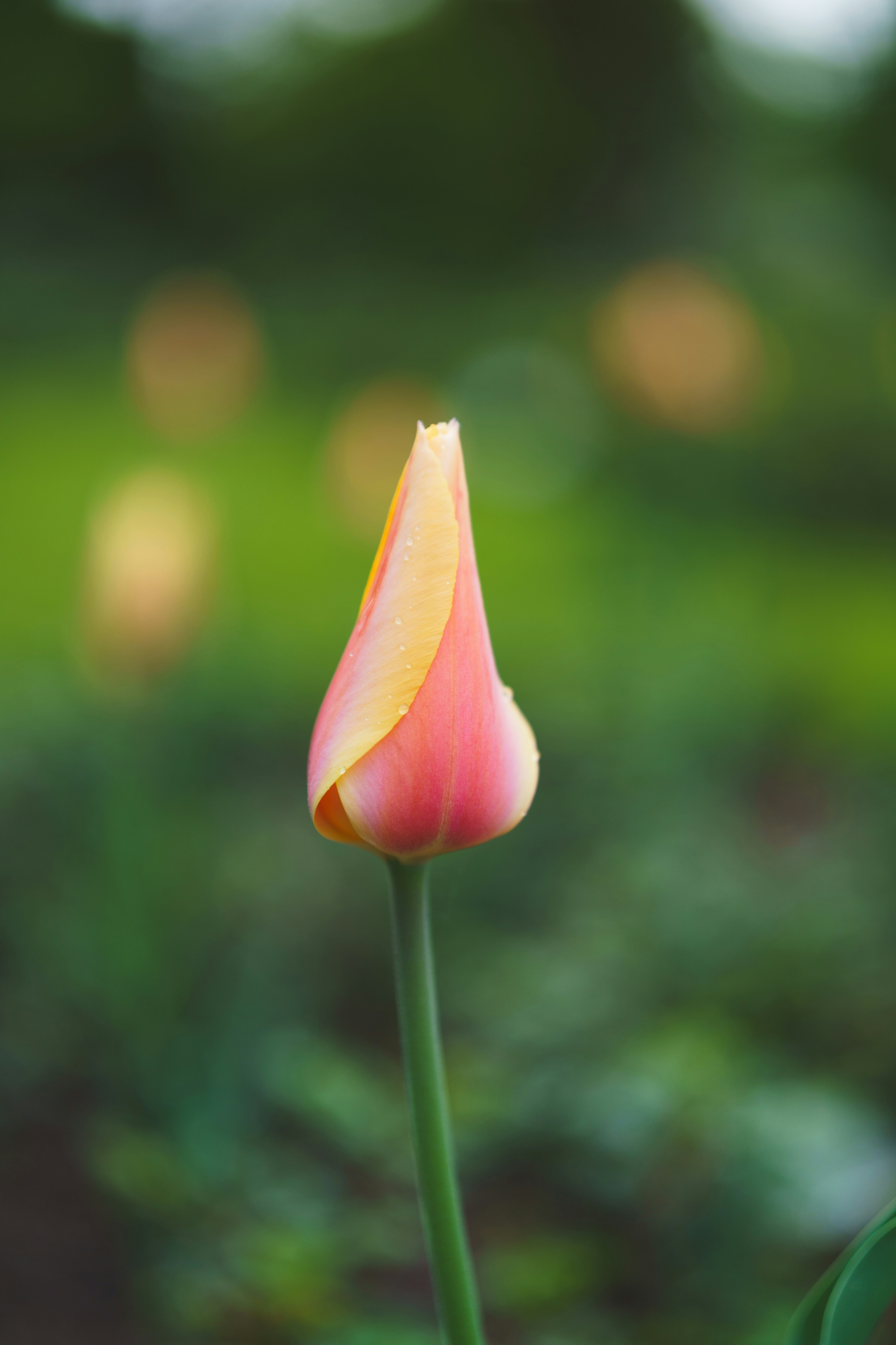 Photo by bangscreative