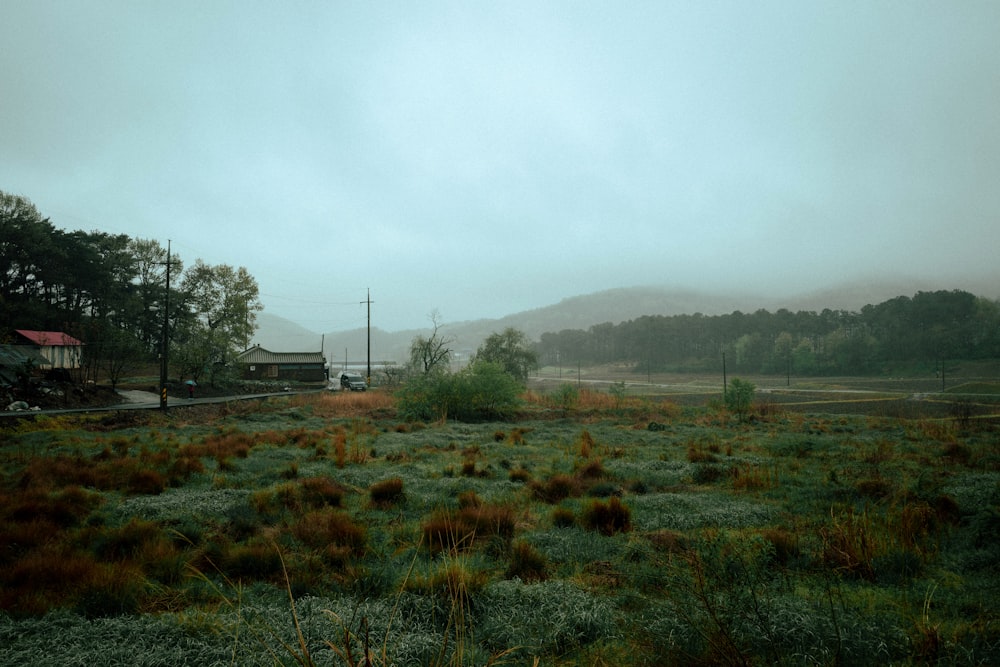 a foggy field with a house in the distance