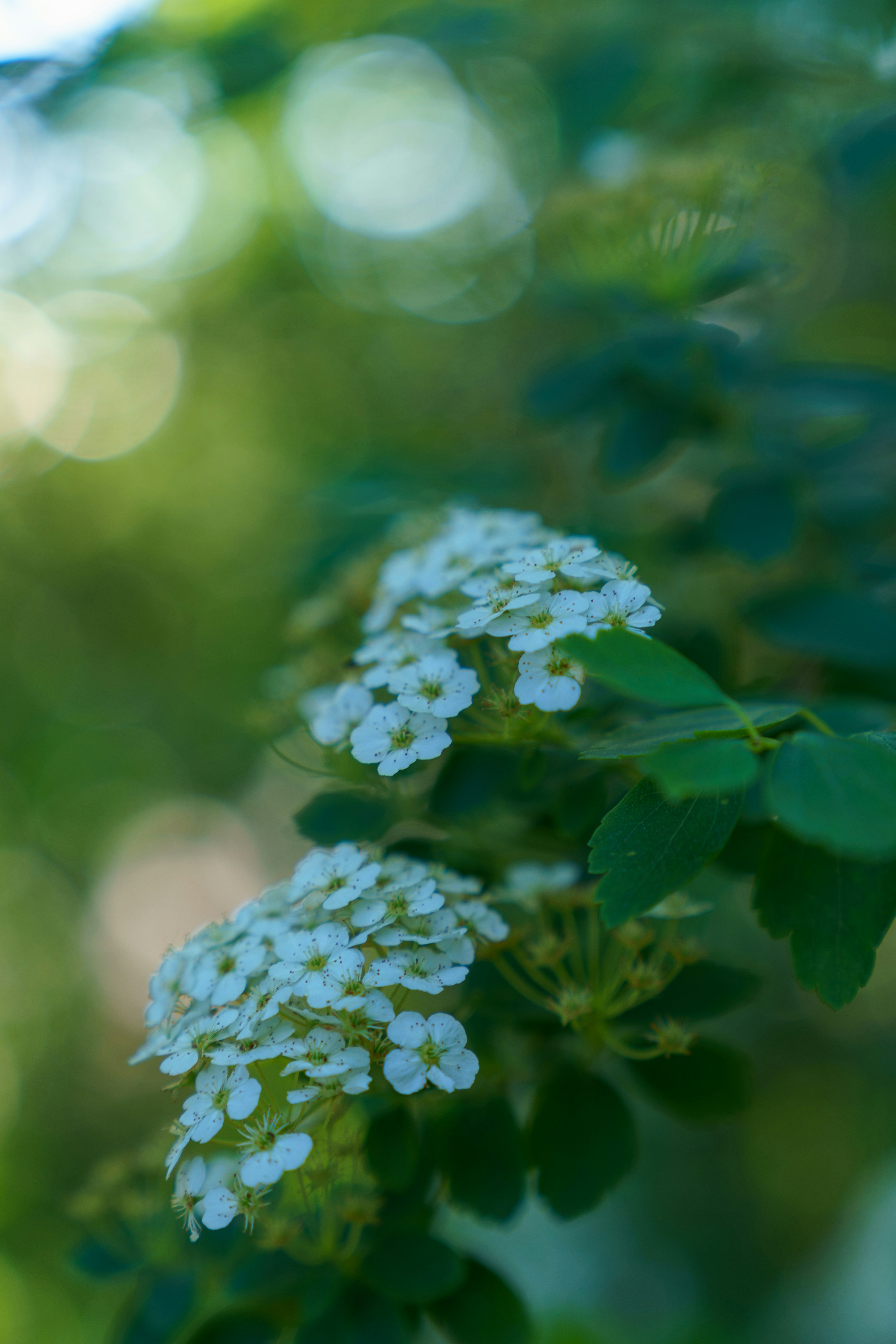 Photo by bangscreative