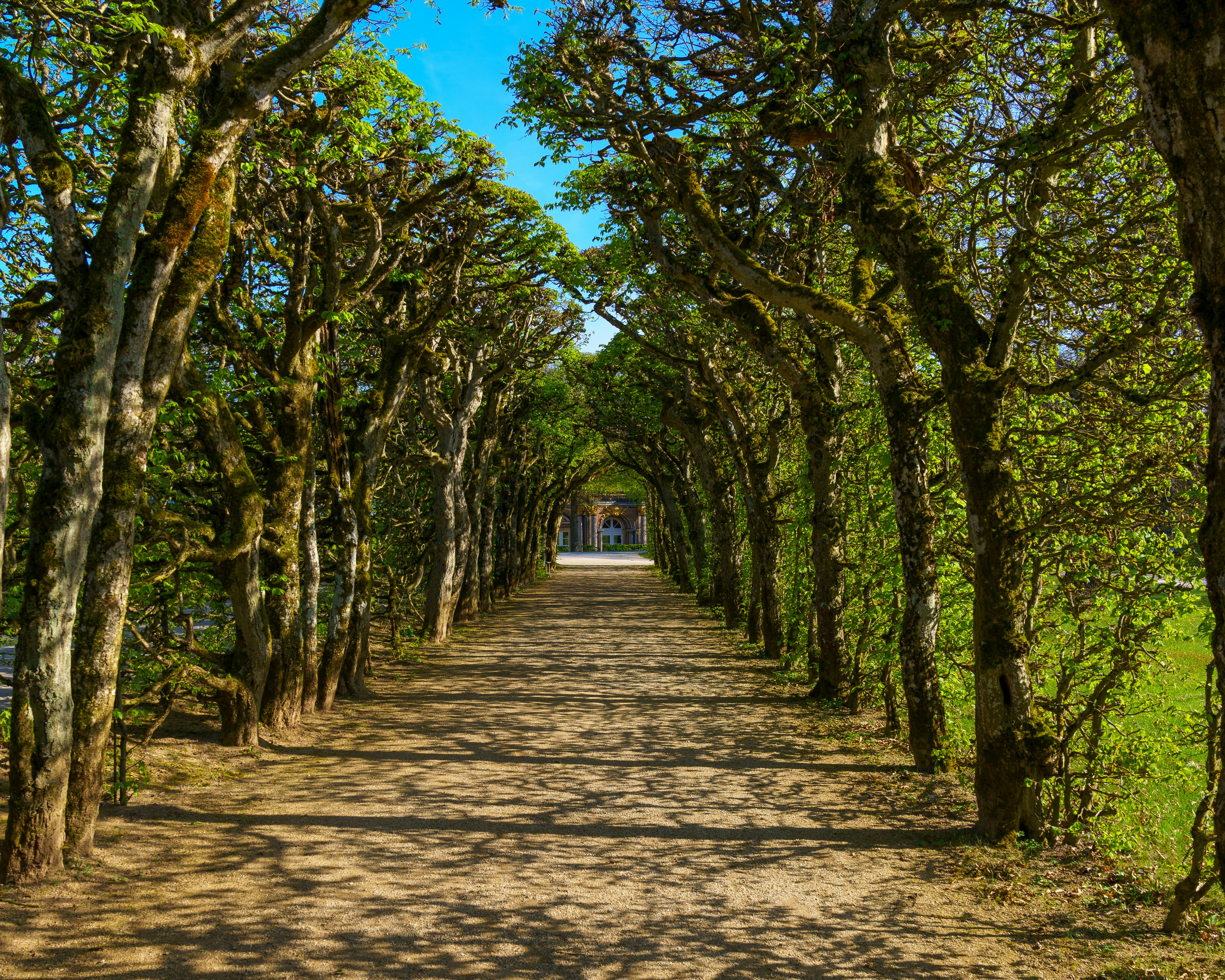 Photo by bangscreative