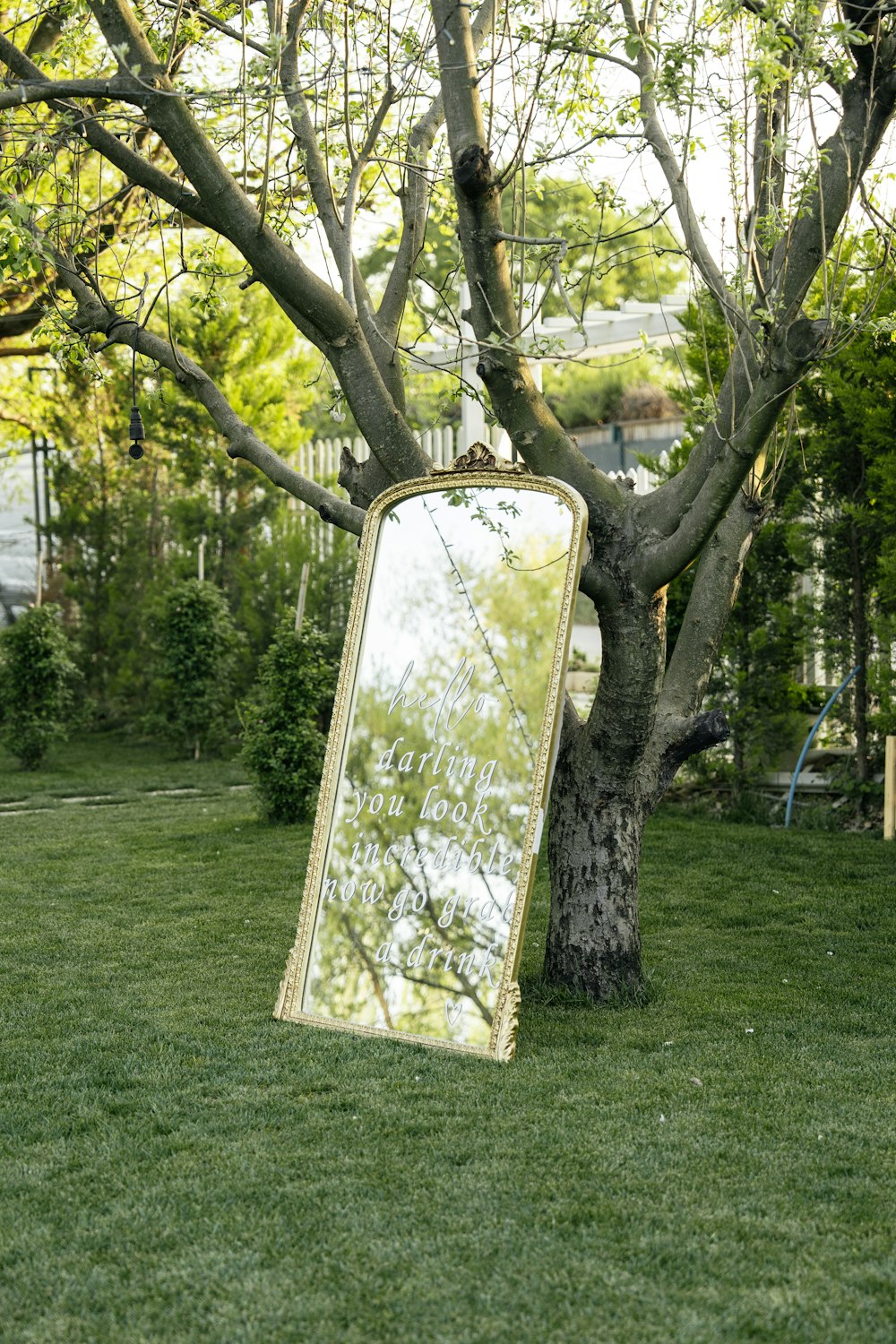 a mirror sitting in the grass next to a tree