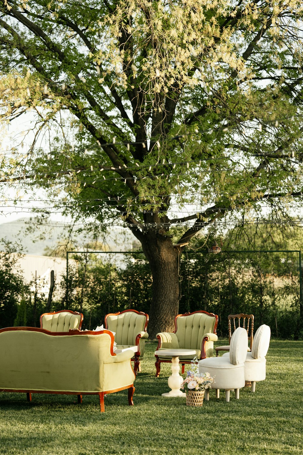 a group of chairs sitting under a tree