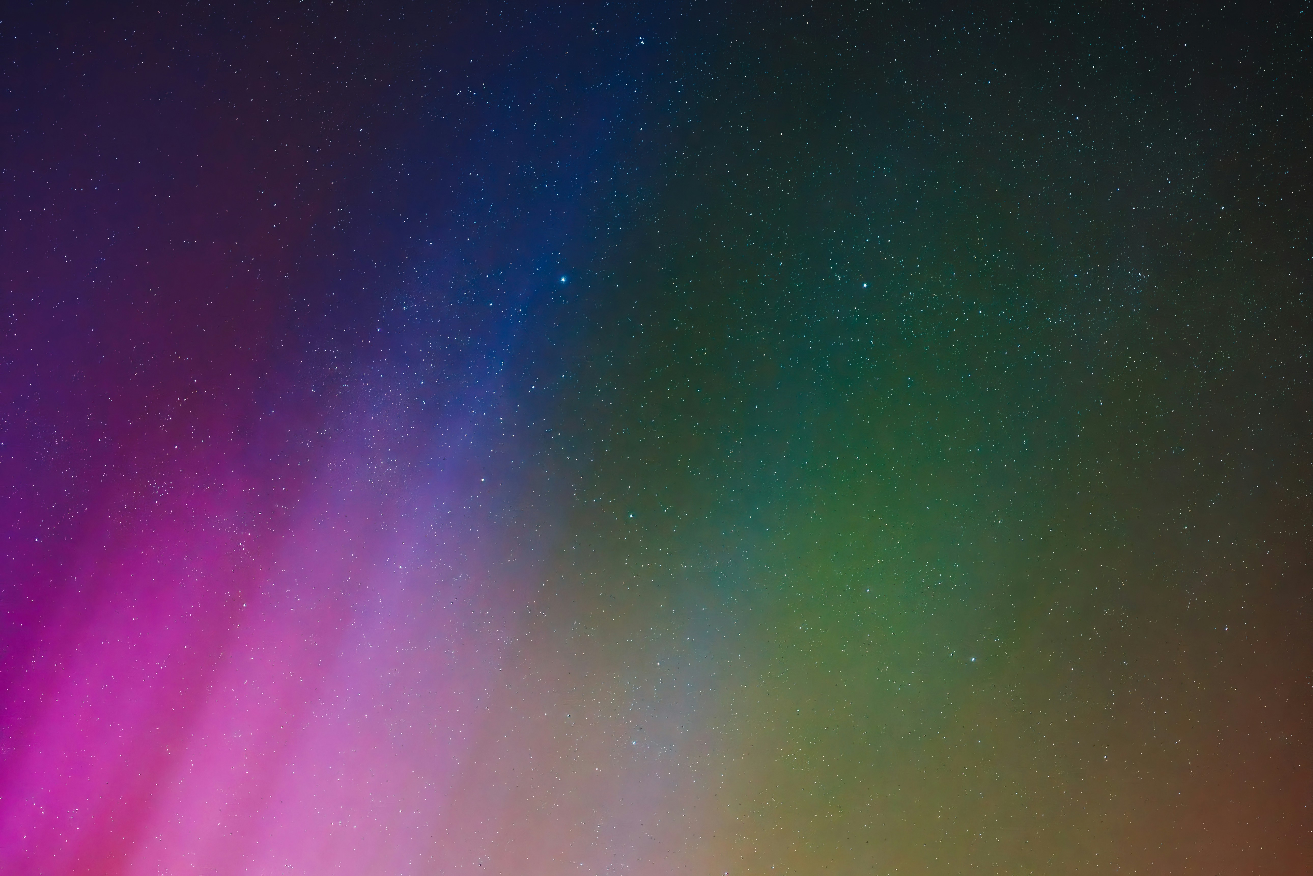 Photo by danielsessler