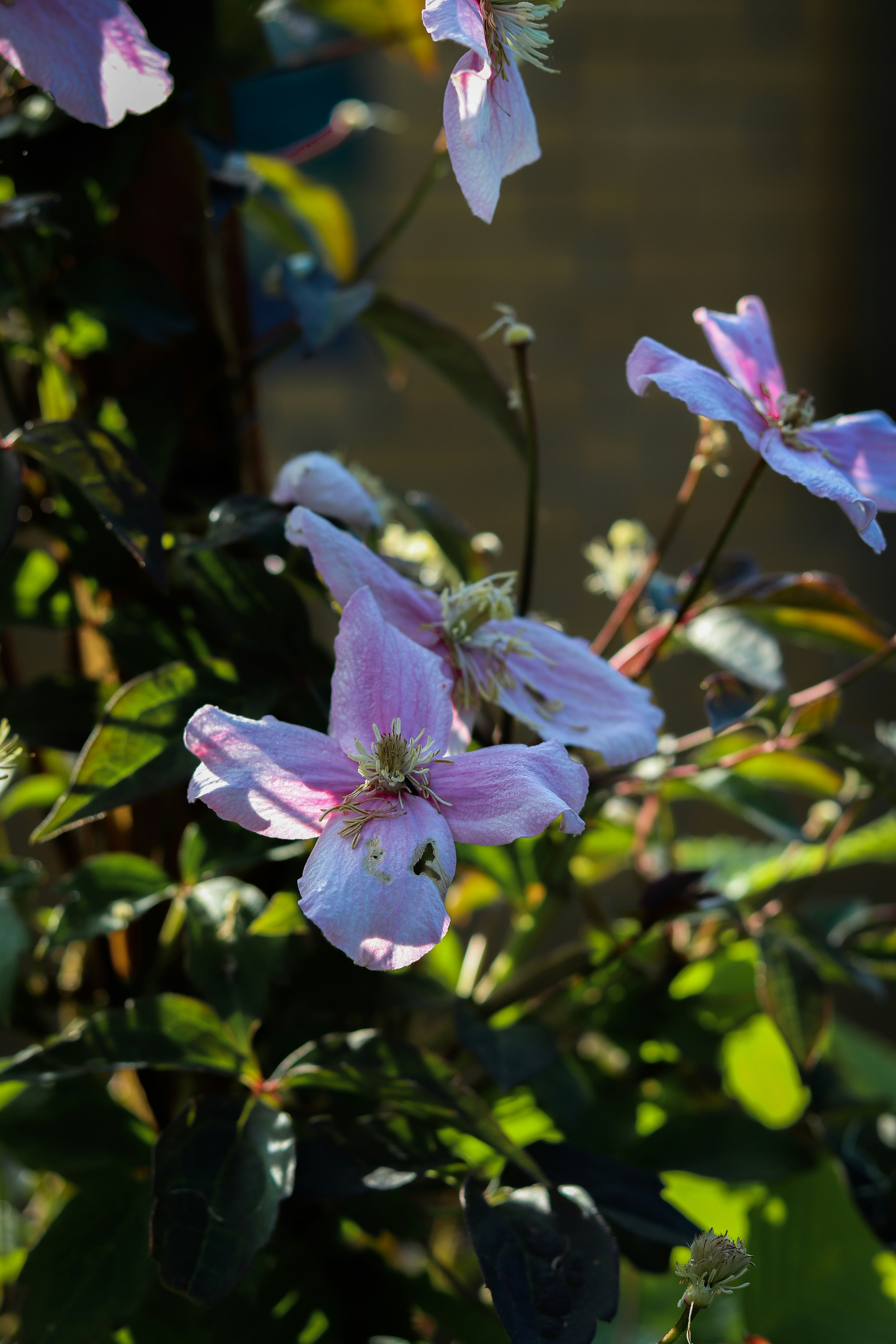 Photo by ferchof_raw