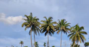 Maharashtra
