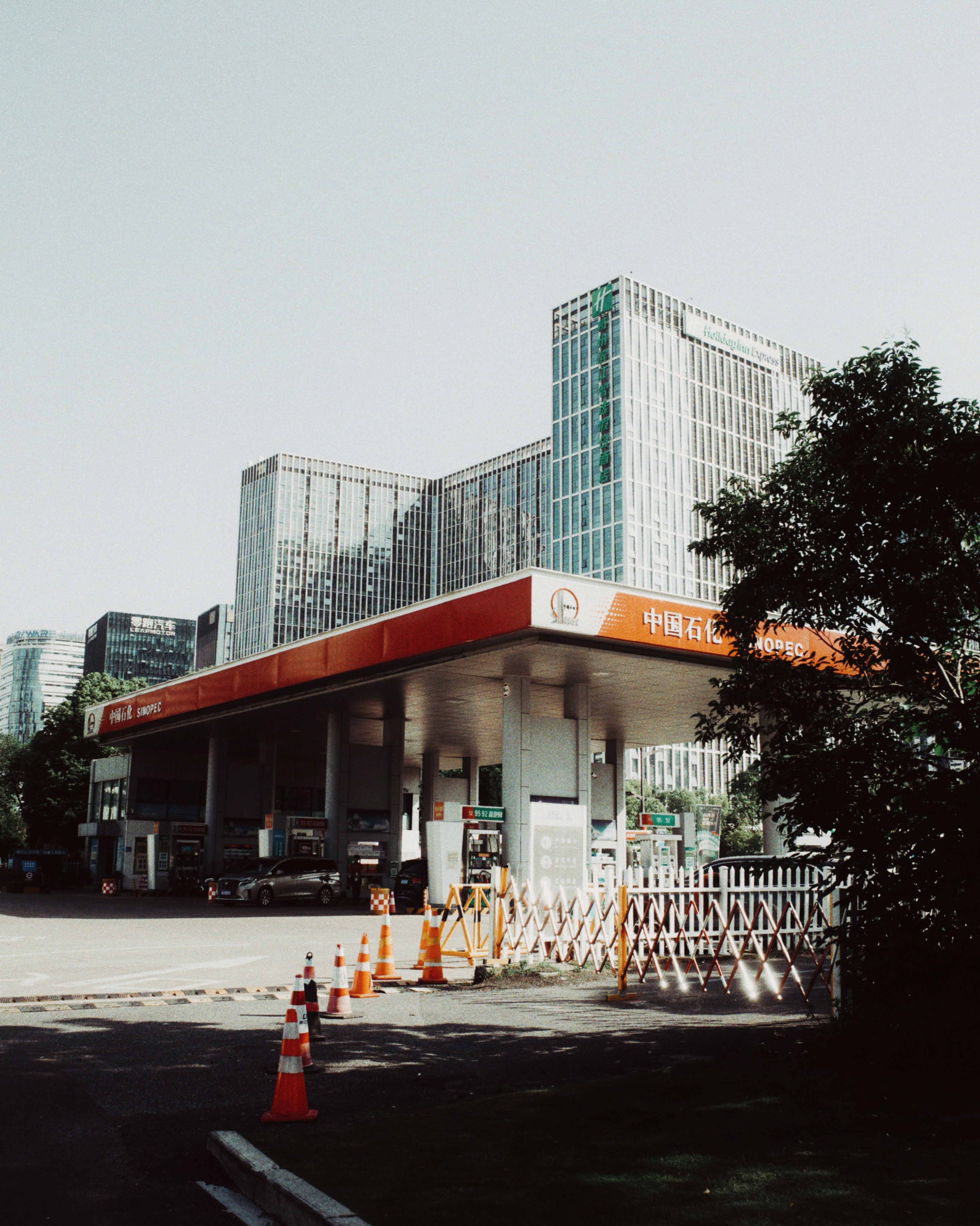 Photo by roaah