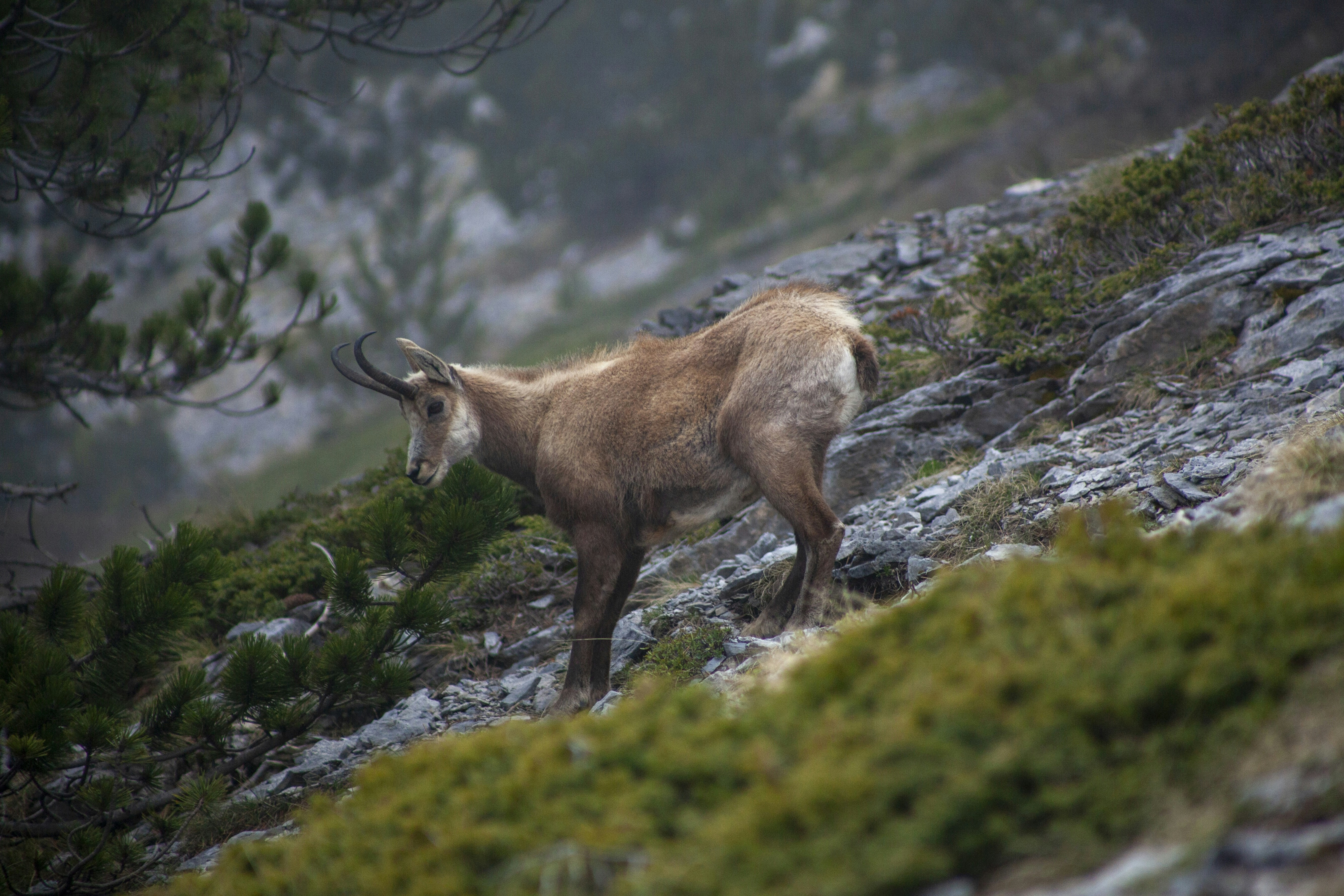 Photo by andrisgangis