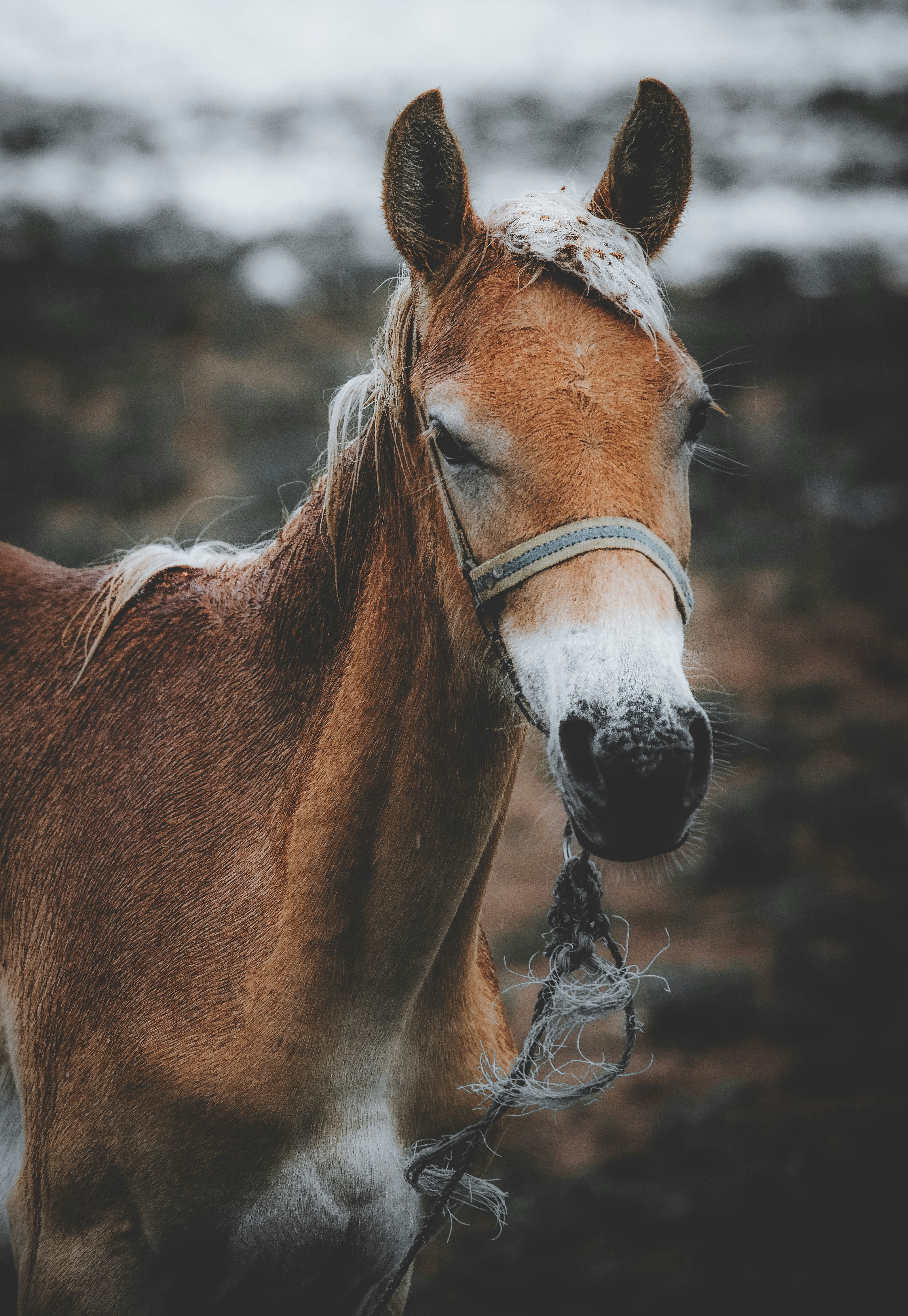 Photo by behnamhadi1