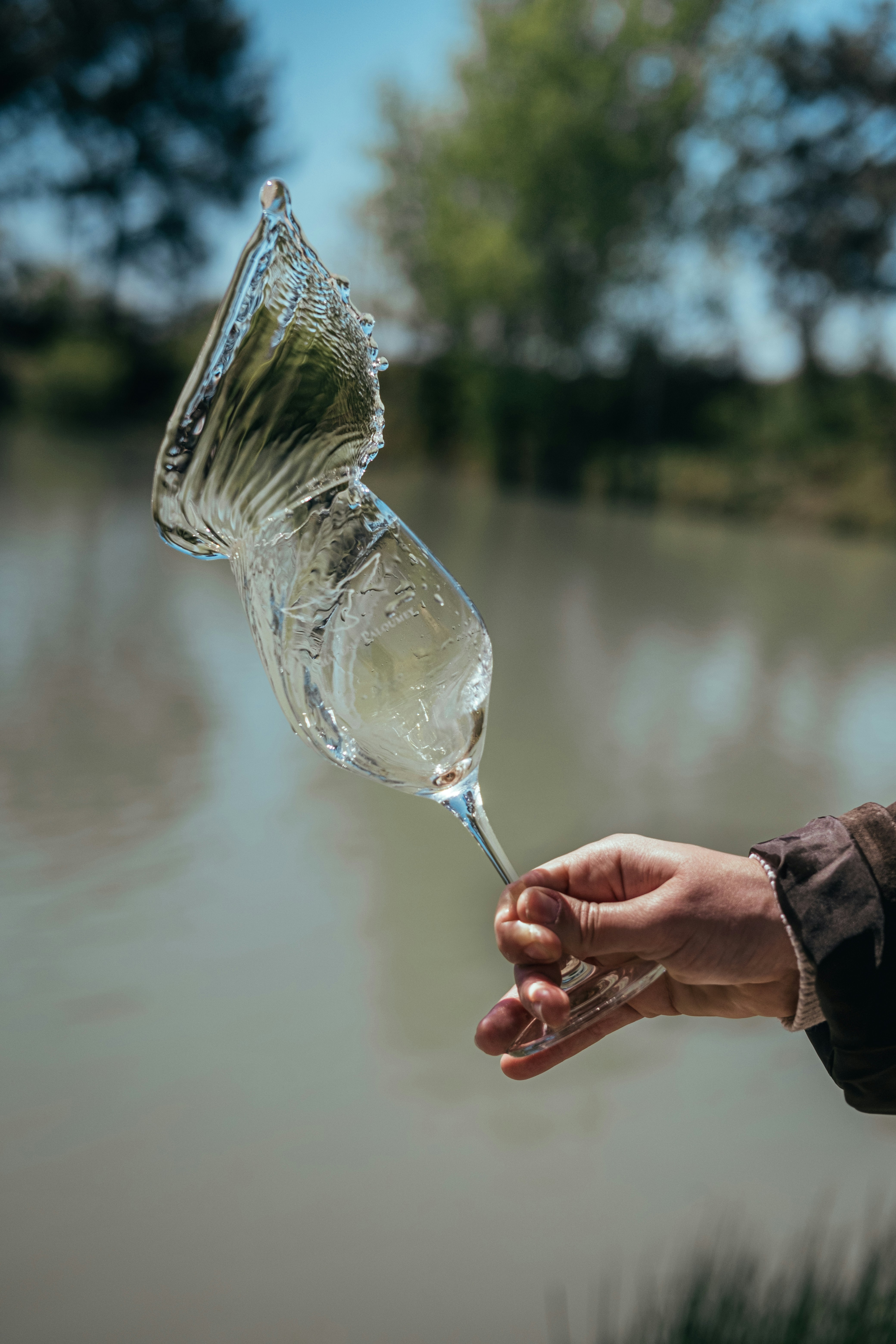a person holding a wine glass in their hand