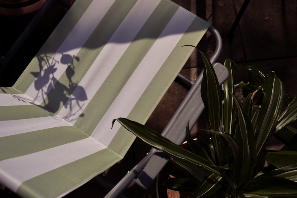 a green and white striped lawn chair next to a potted plant