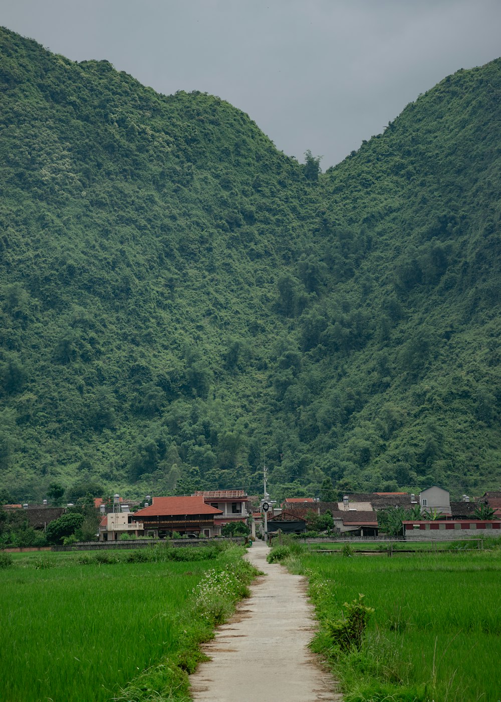 a dirt path in front of a lush green mountain