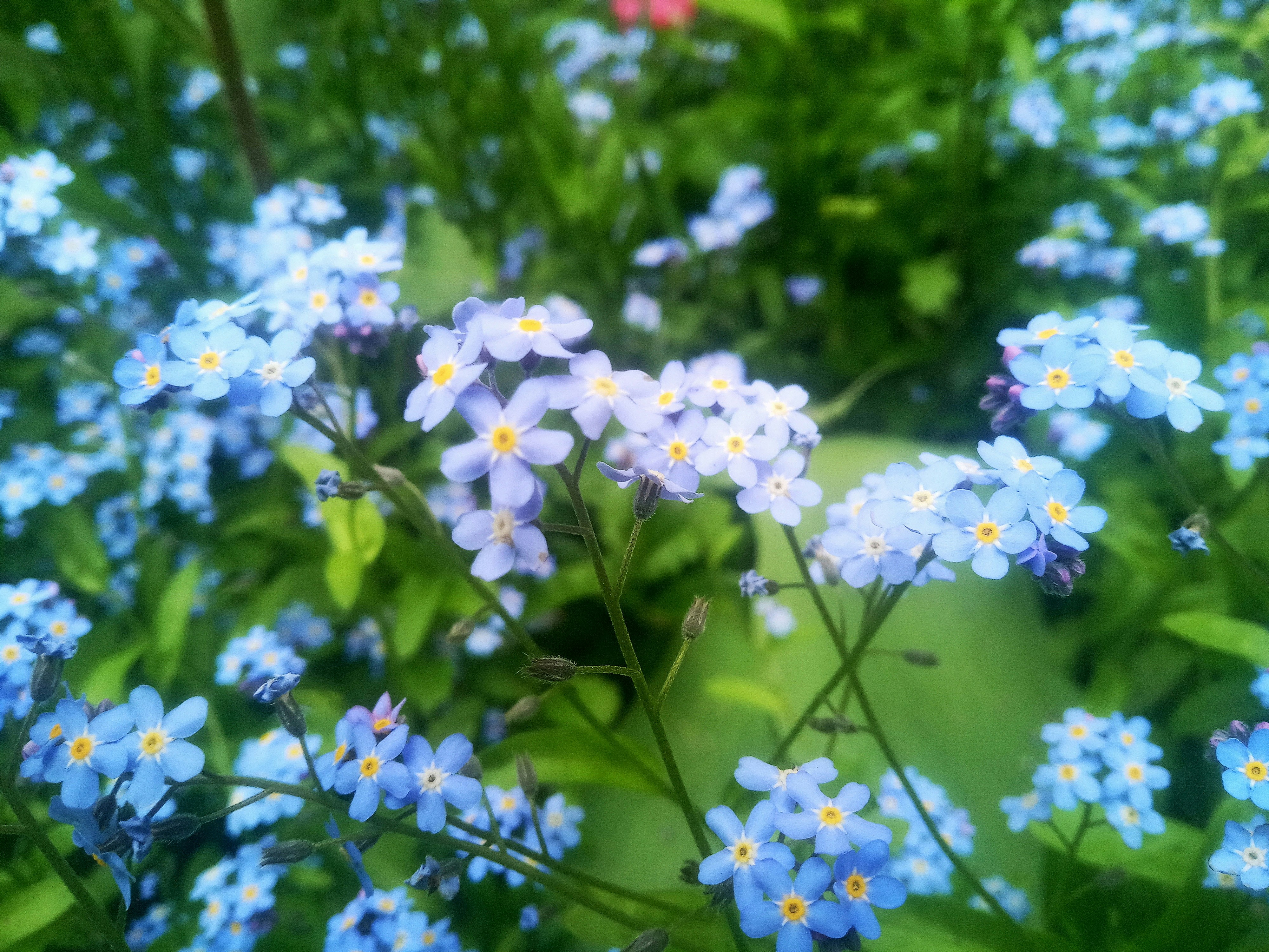 Przy Kominku z Wiedzmą M - Opowieści i Podróże