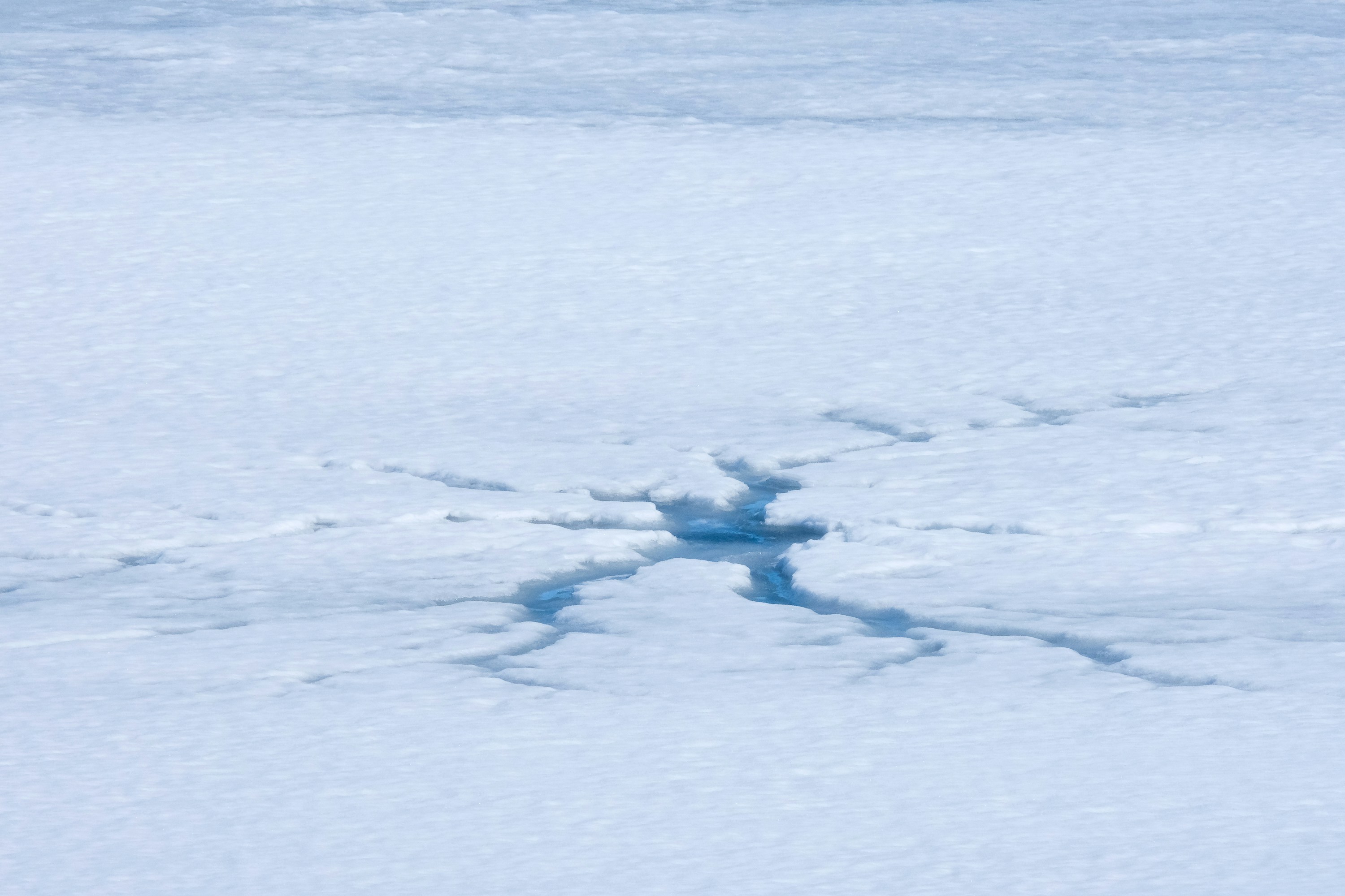 Photo by cestmoisheedy