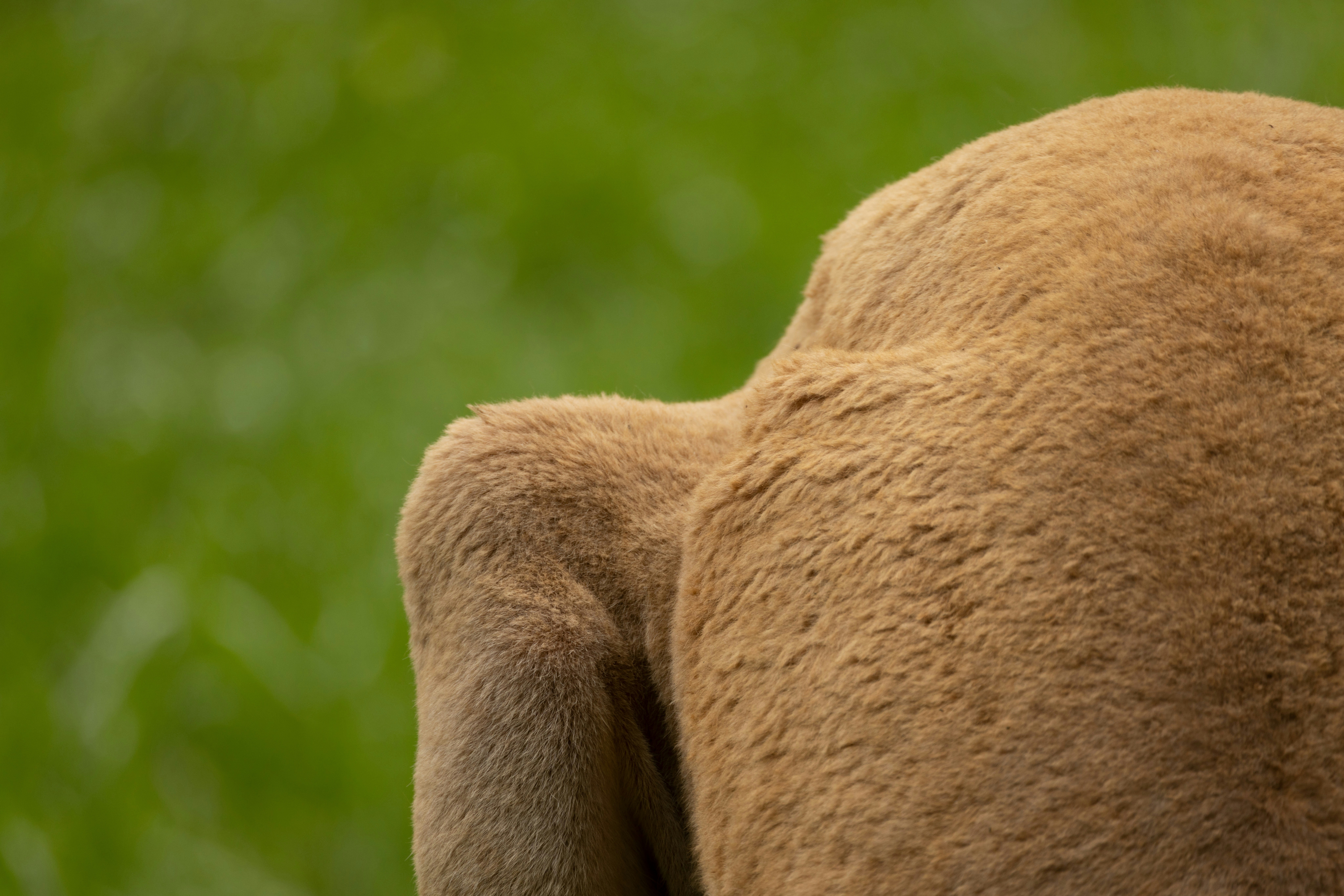 Photo by arttoinspire