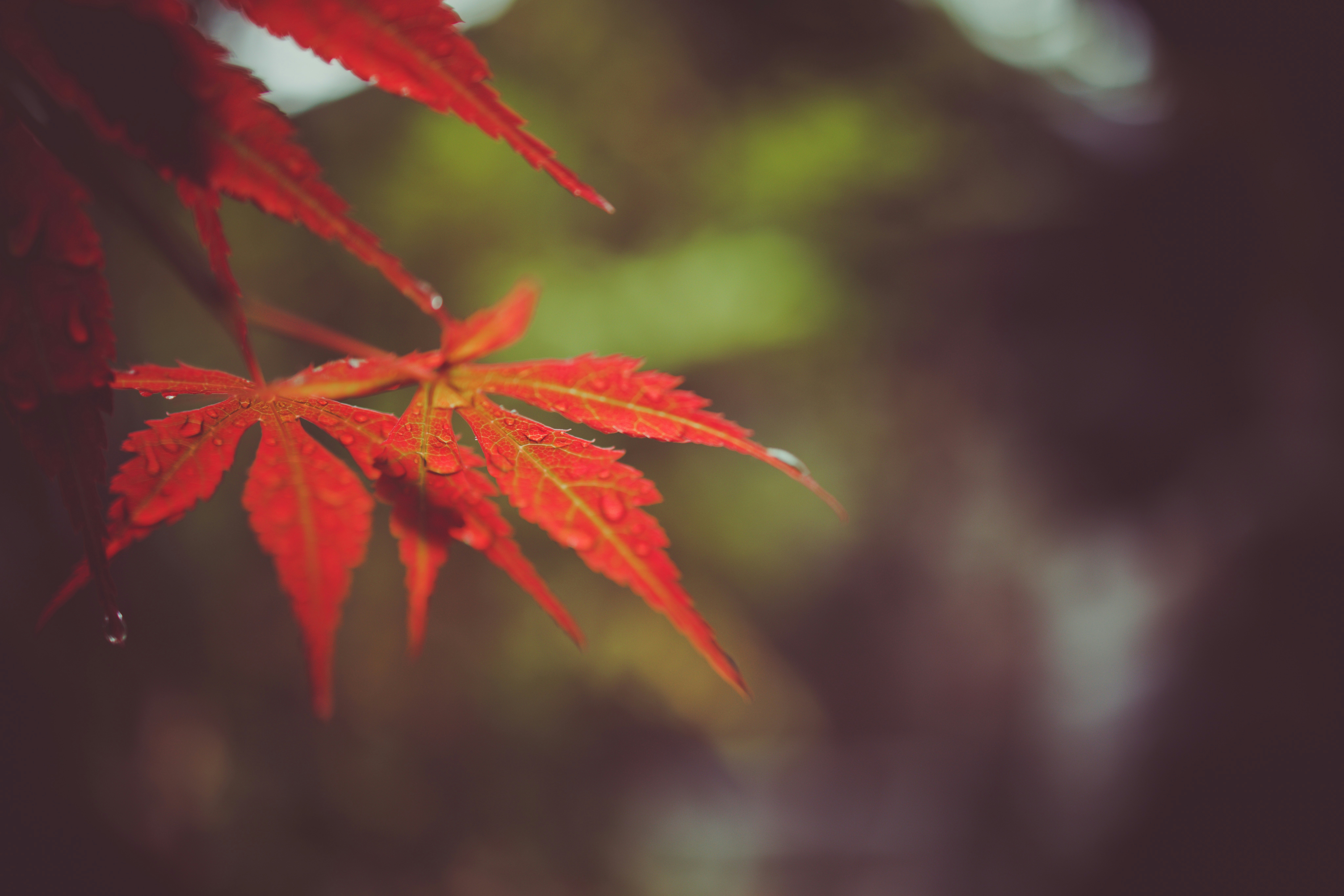 Photo by arttoinspire