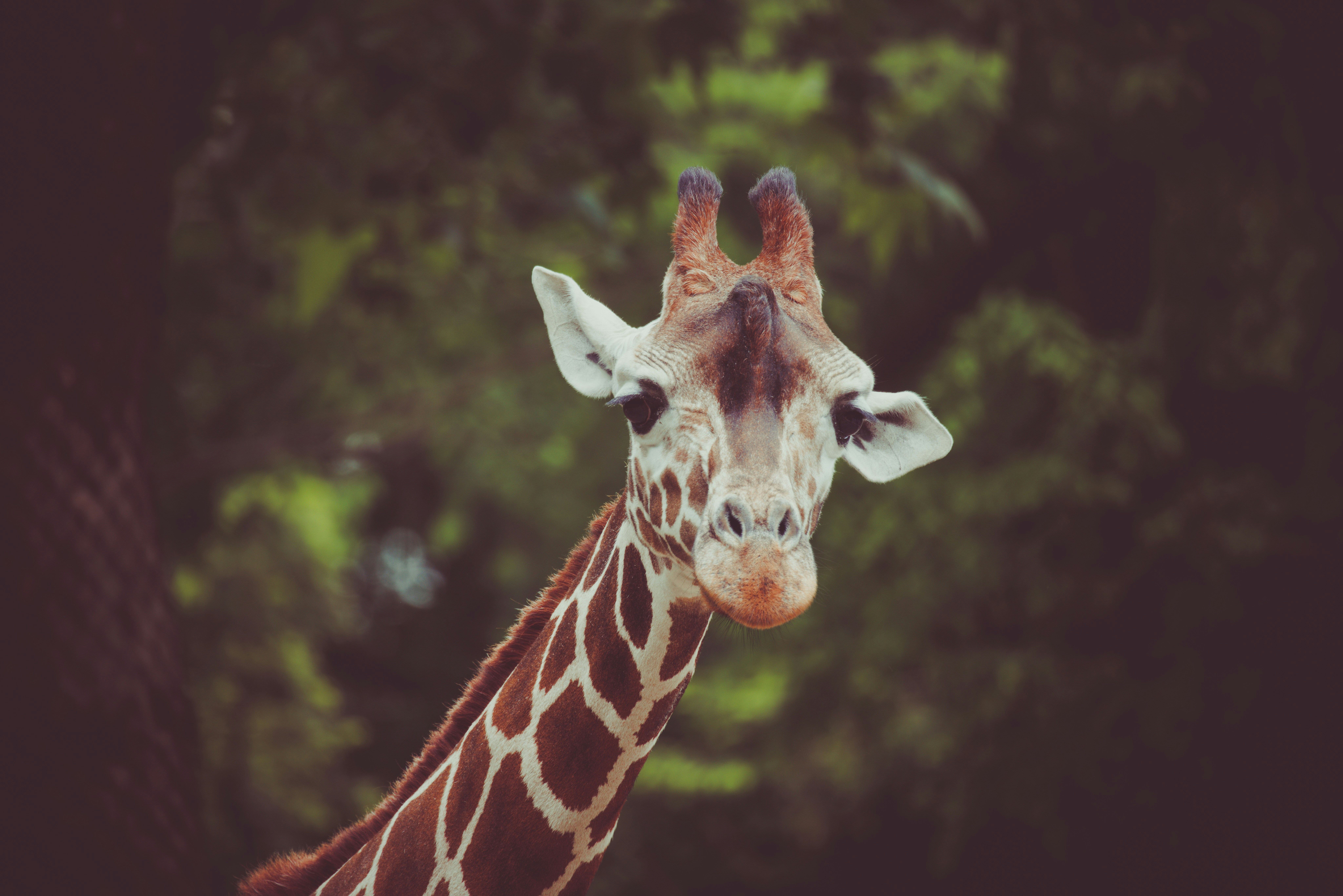 Photo by arttoinspire