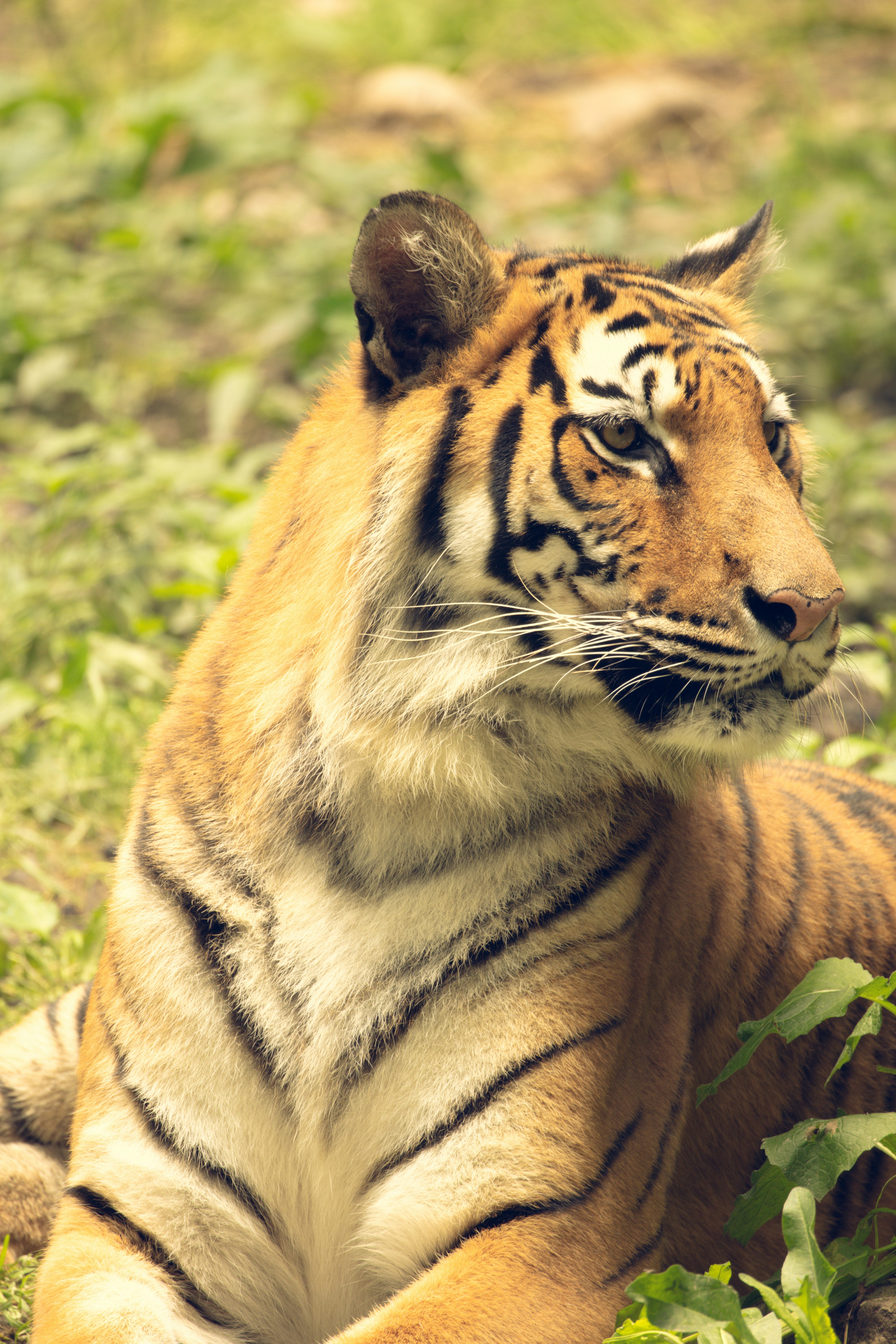 Photo by arttoinspire