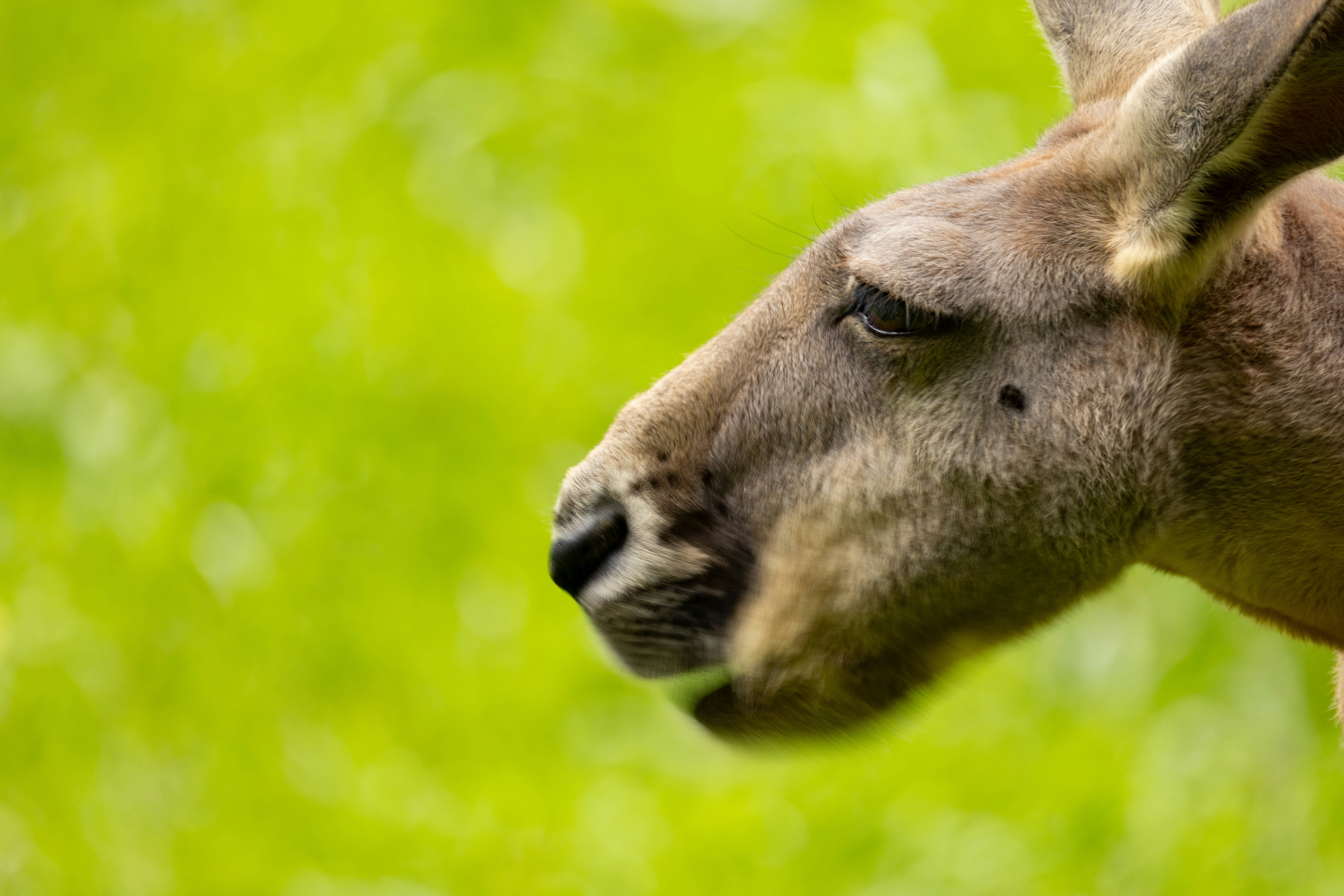 Photo by arttoinspire