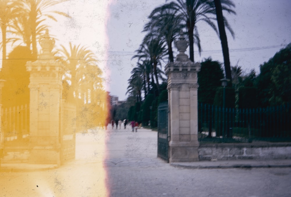 an old photo of a gate and palm trees