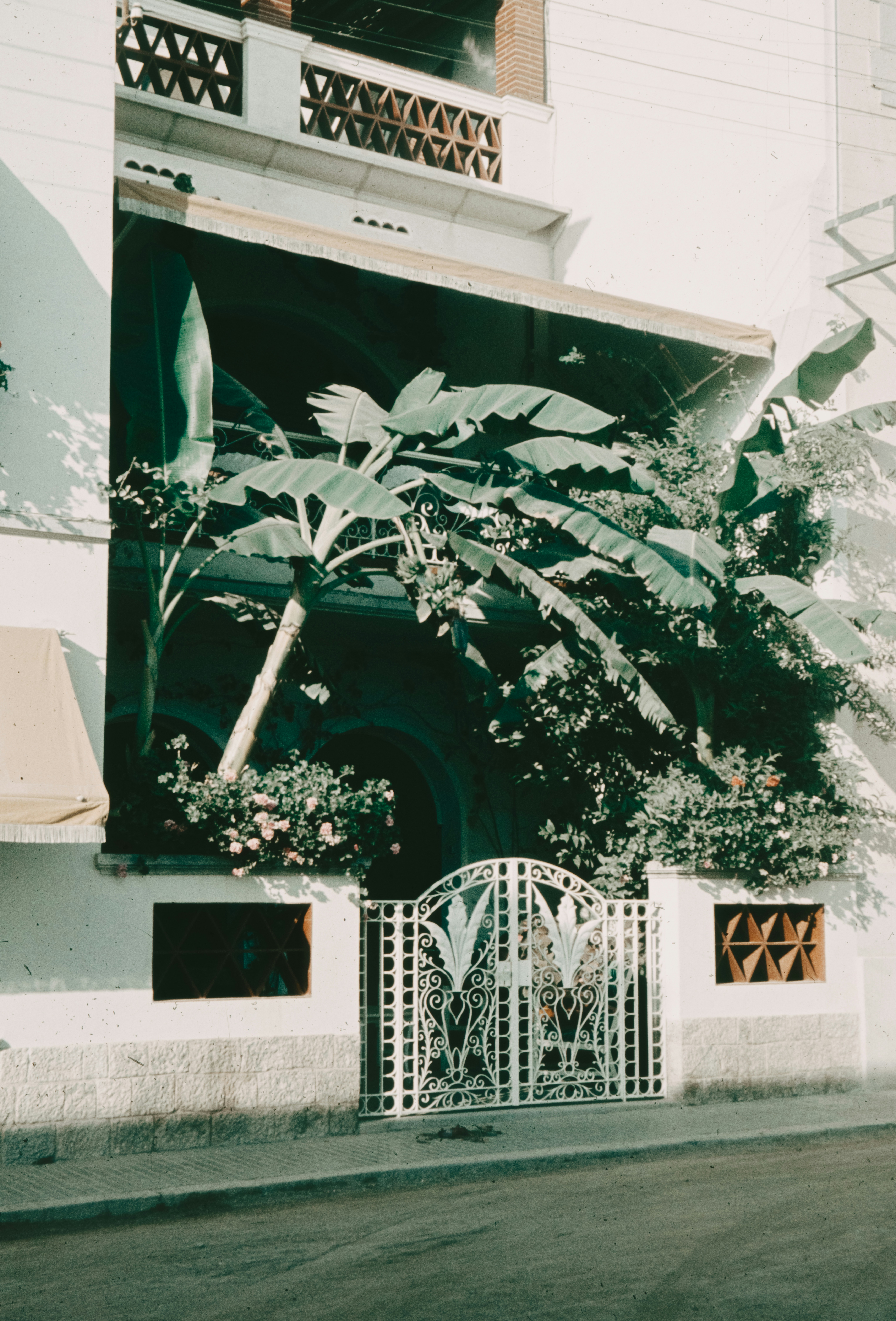 Photo by anniespratt