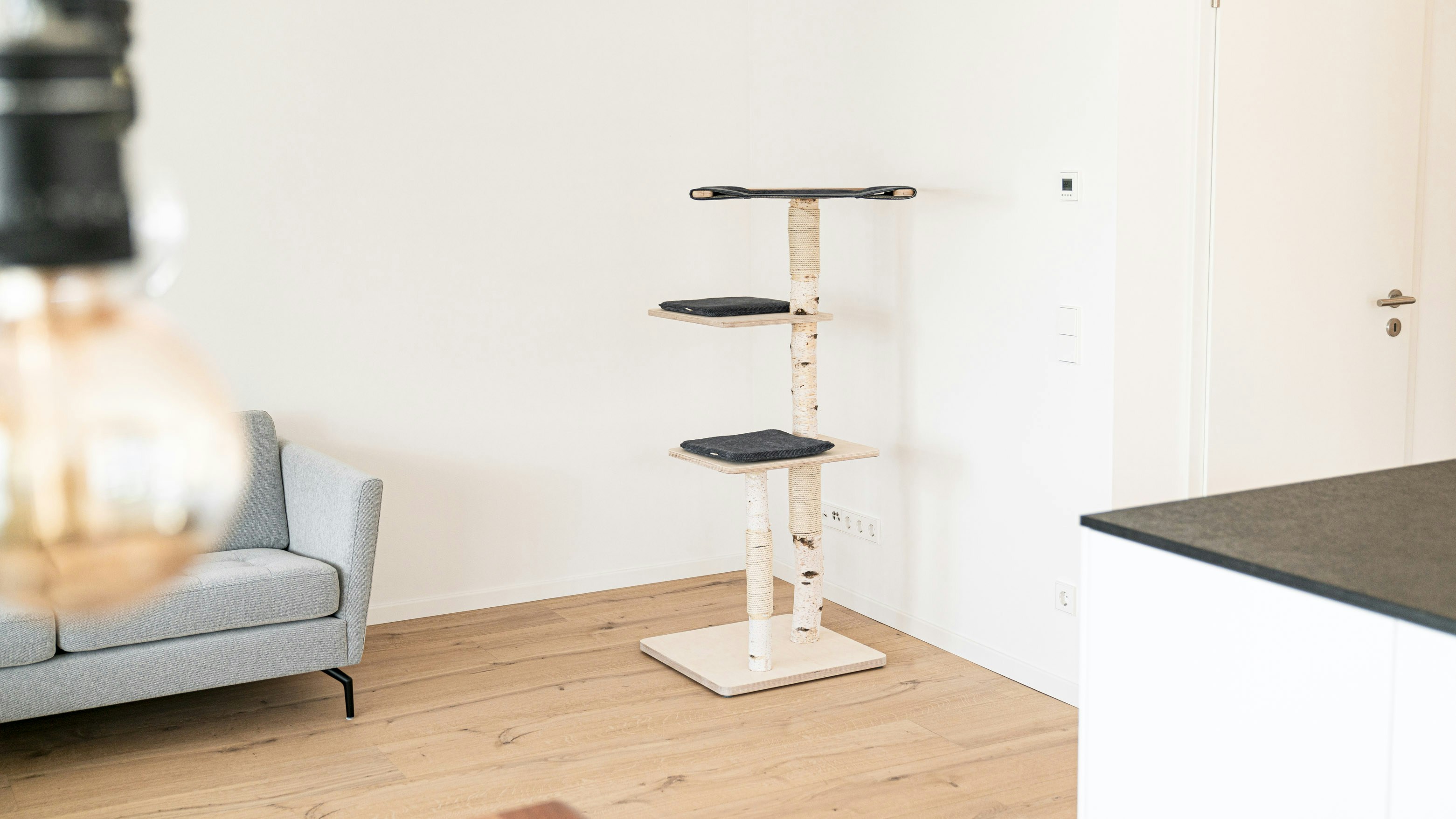Pet furniture in bright indoor environment, natural light, airy open setting